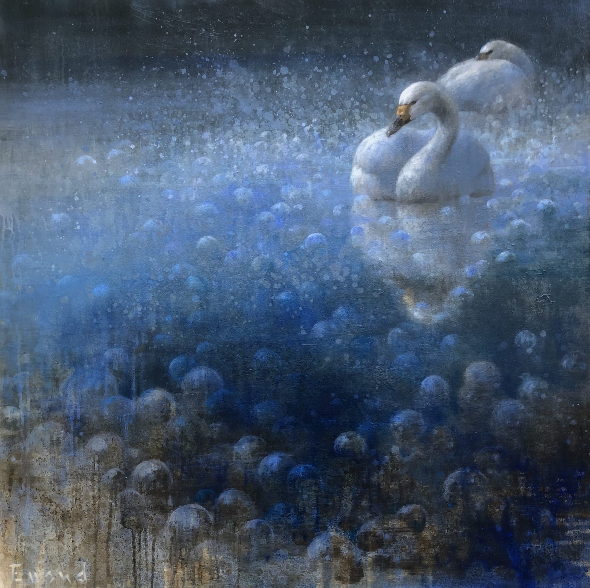 Ewoud de Groot, BEWICK SWAN