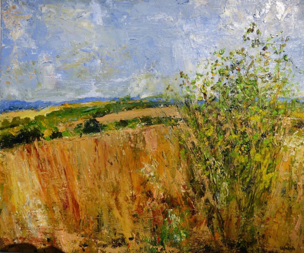 David Walsh, EDGE OF CORN FIELD, HIGH SUMMER