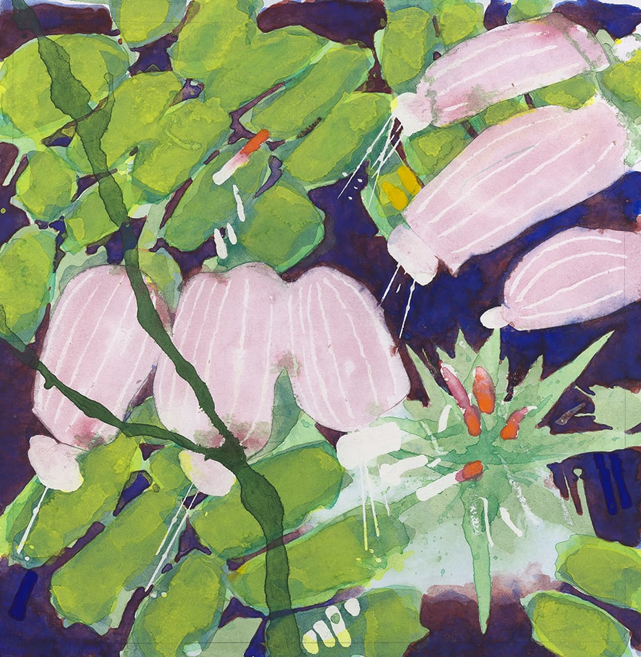 Edward Hutchison, CONCERT OF WILDFLOWERS 1