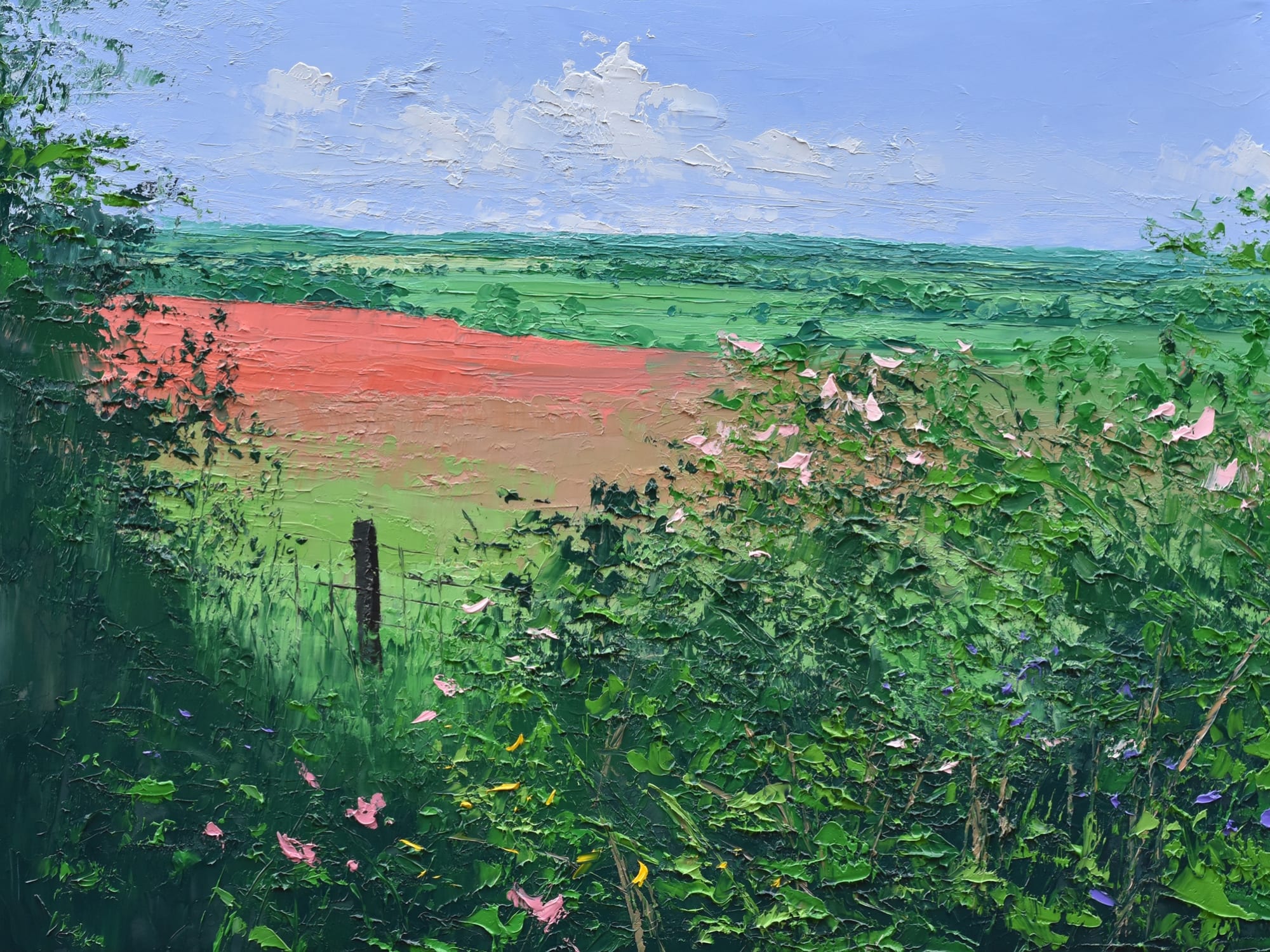 Colin Carruthers, WILD ROSES AND POPPIES
