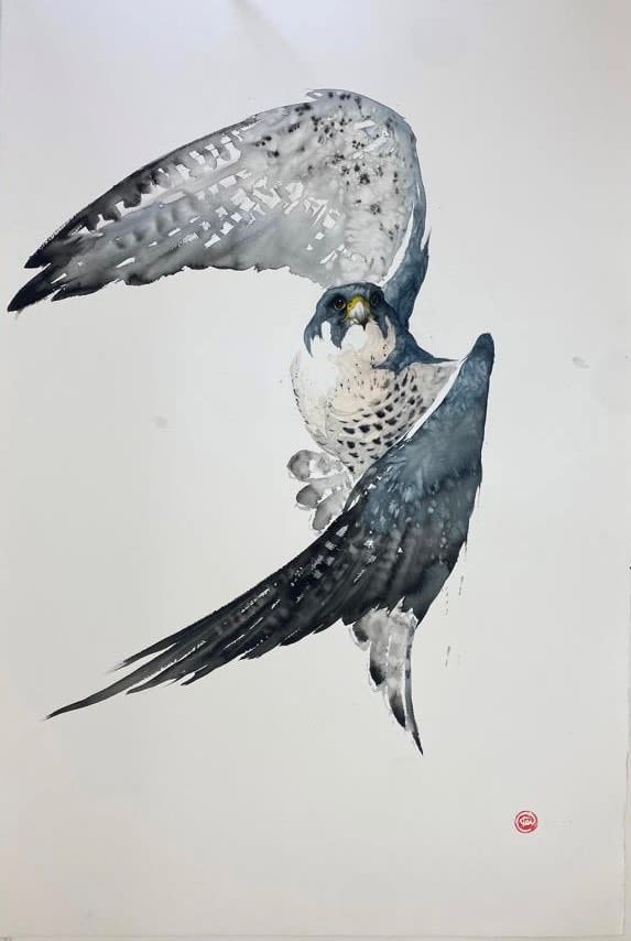 Karl Martens, PEREGRINE FALCON