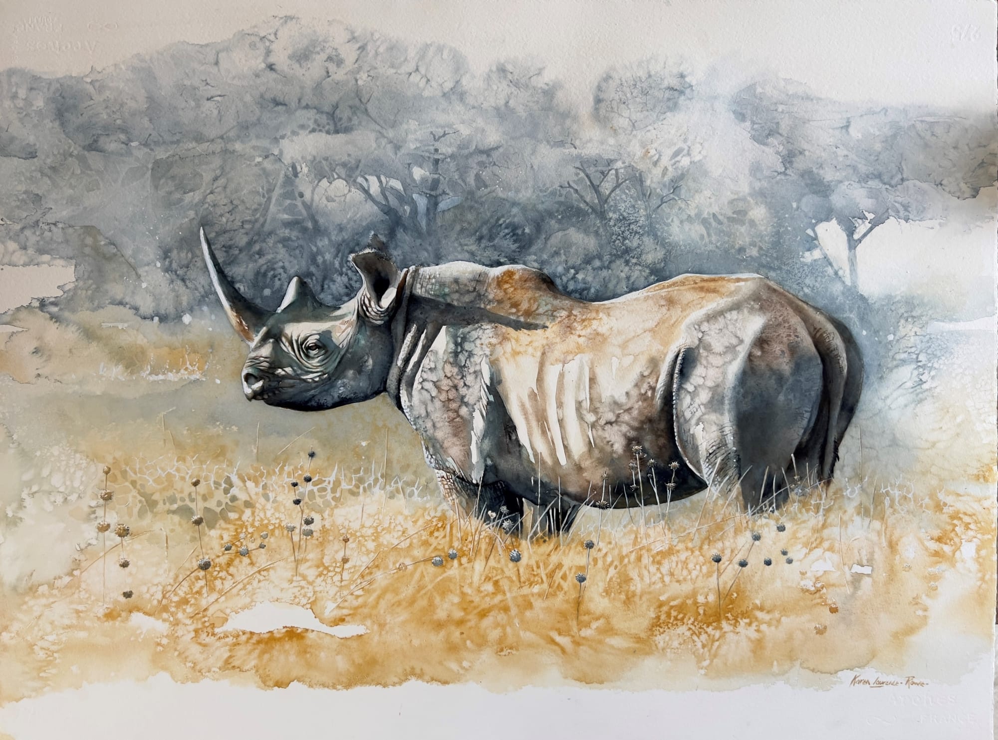 Karen Laurence-Rowe, LAIKIPIA BLACK RHINO