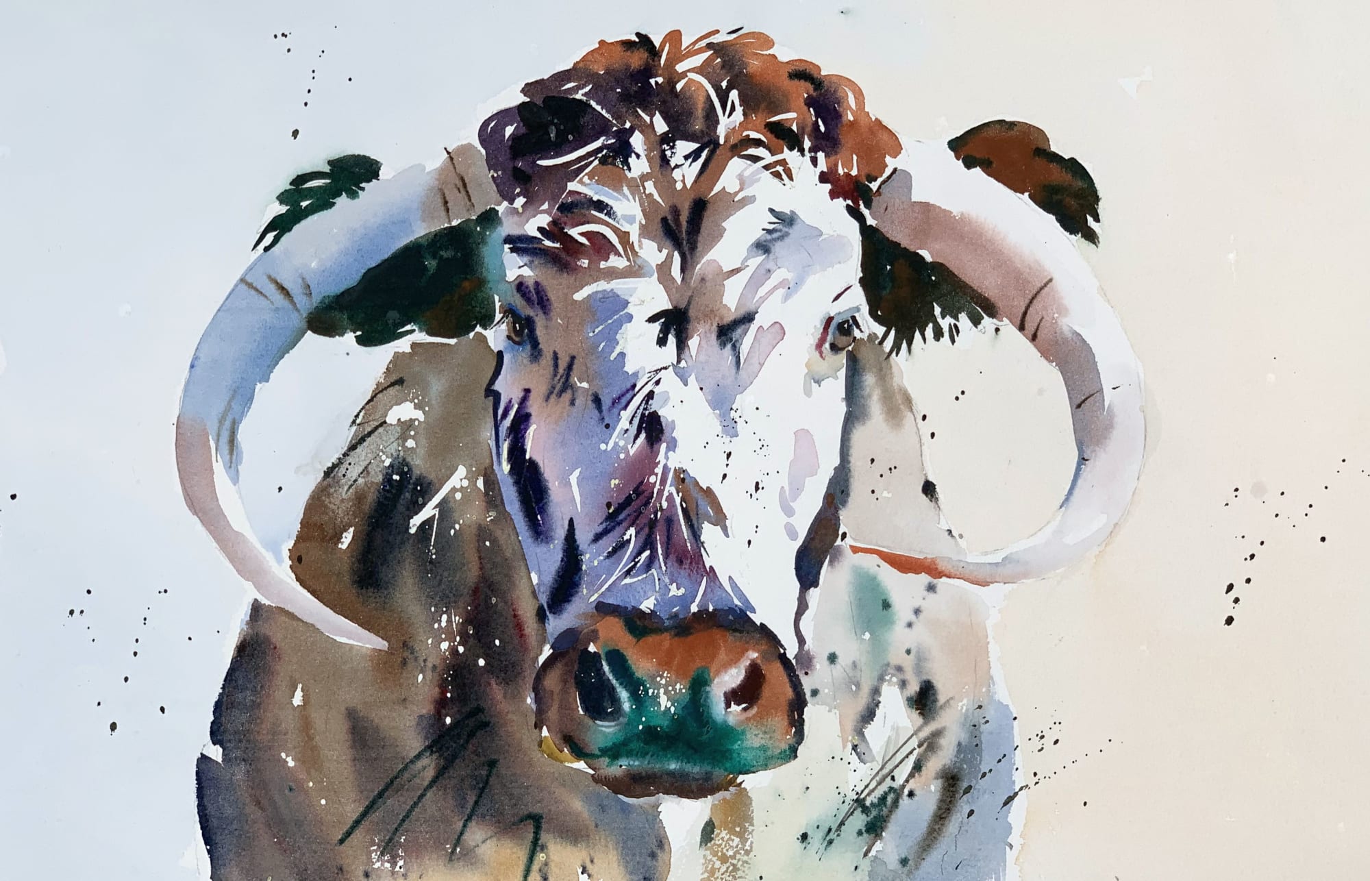 Jake Winkle, ENGLISH LONGHORN