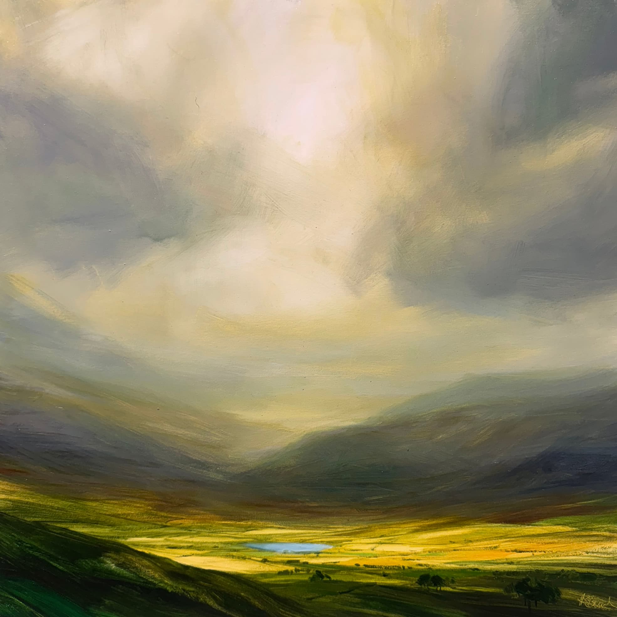 Harry Brioche, THE VALLEY UNVEILED