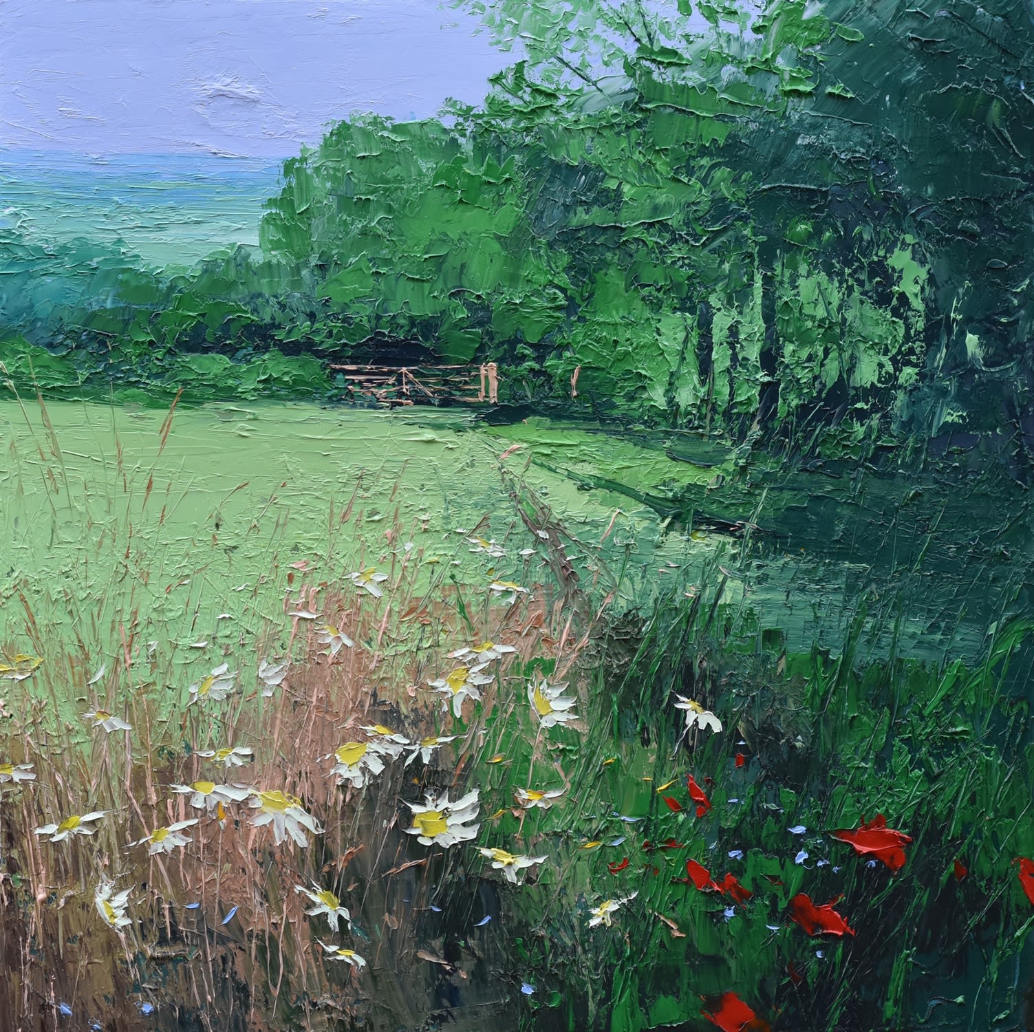 Colin Carruthers, OX-EYE DAISIES, FIELD EDGE