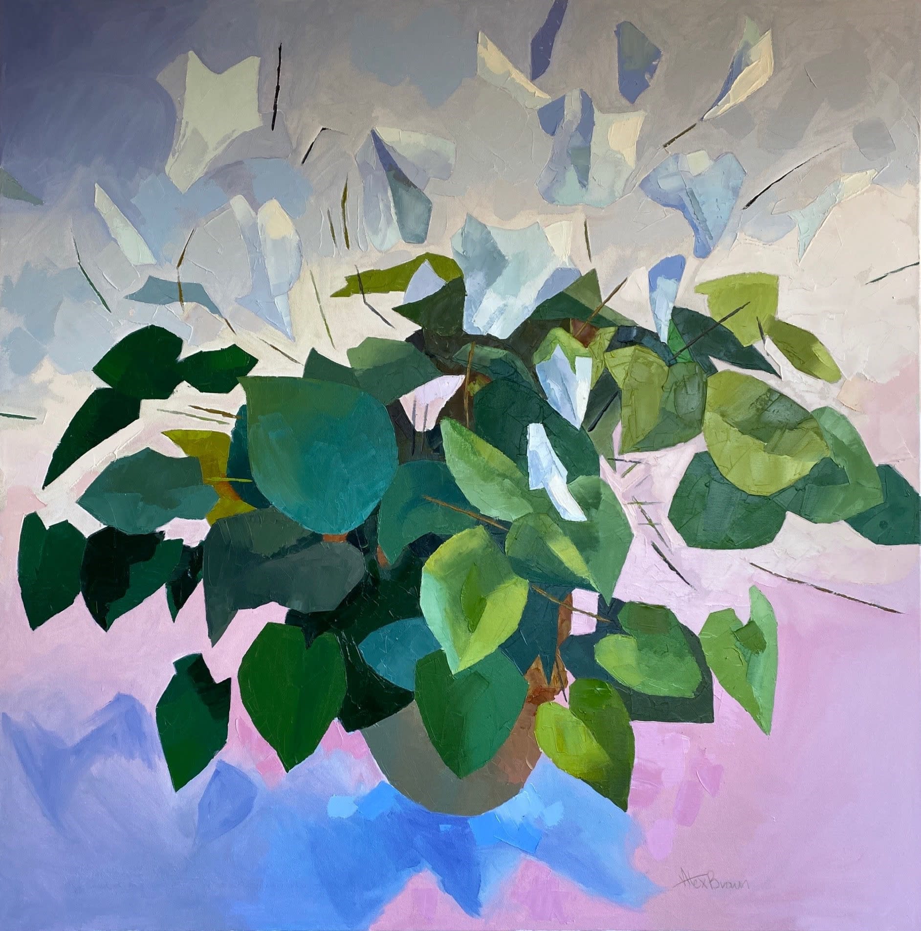 Alex Brown, CYCLAMEN EXPLOSION