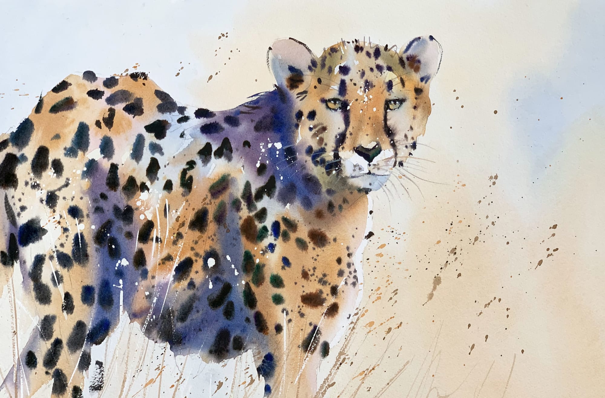 Jake Winkle, CHEETAH WATCH