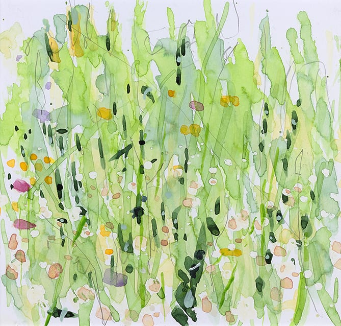 Edward Hutchison, AMONGST WILDFLOWERS 2