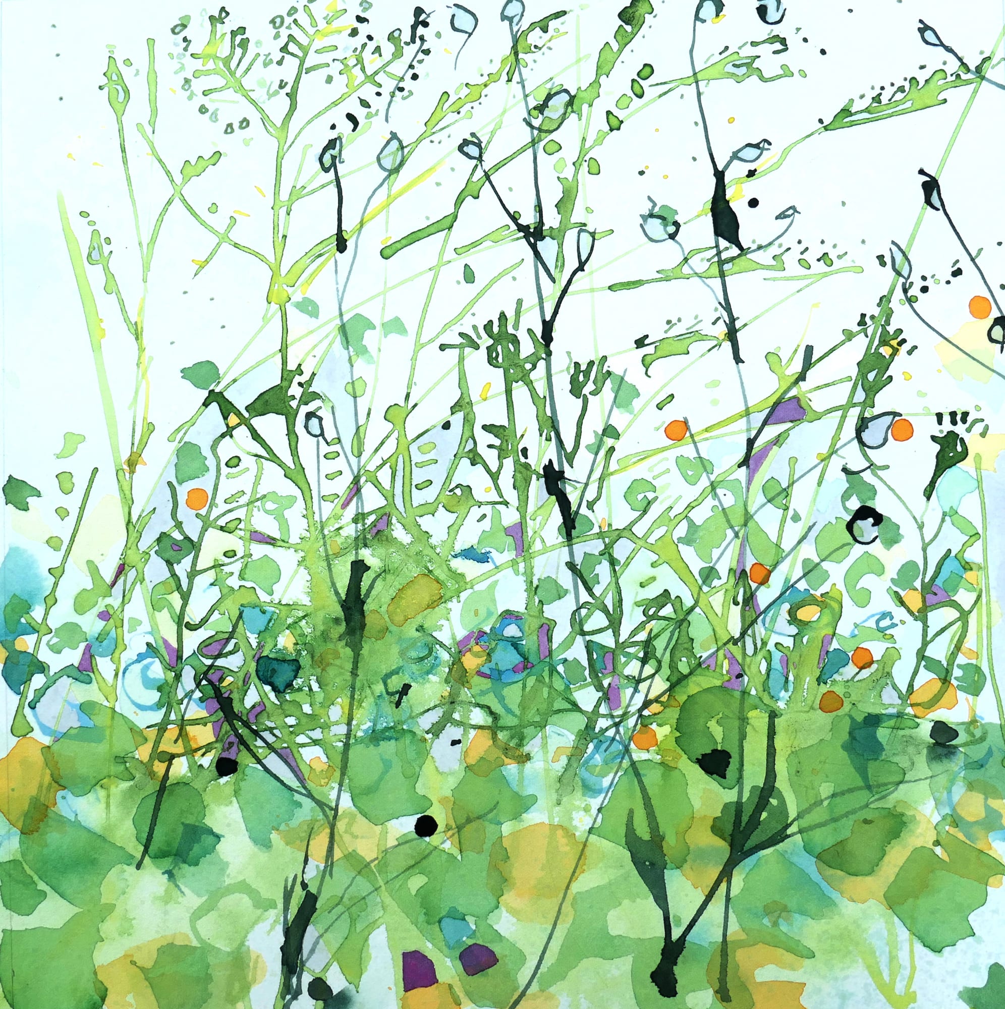 Edward Hutchison, WILDFLOWERS