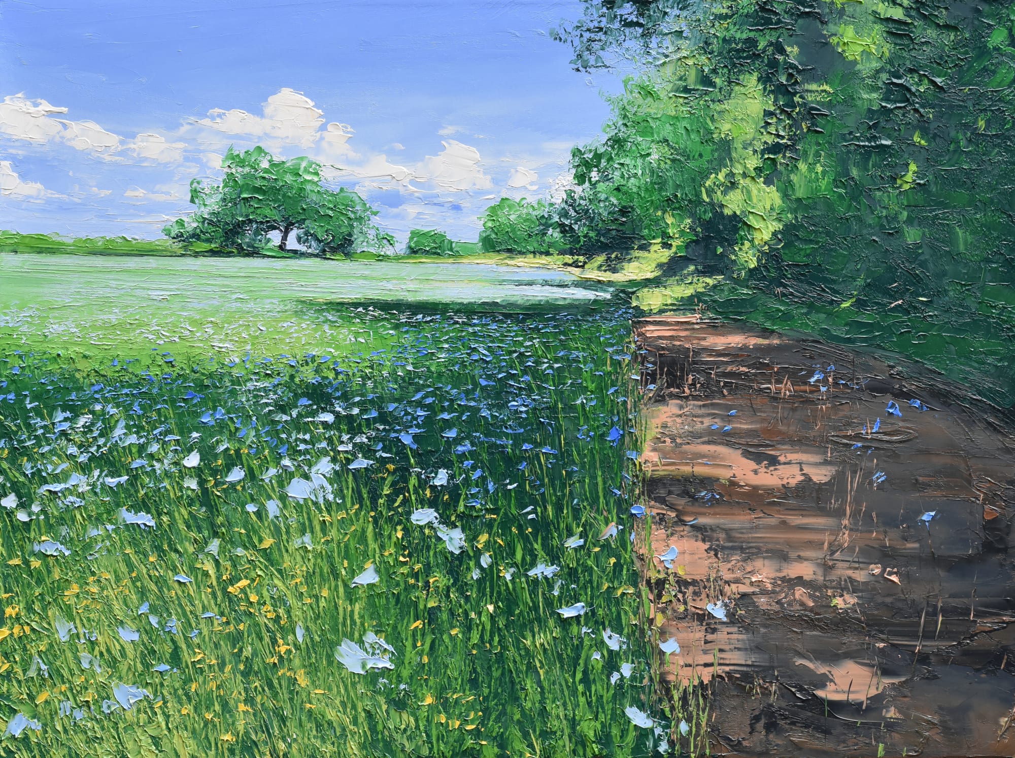 Colin Carruthers, FIELD EDGE SHADOWS