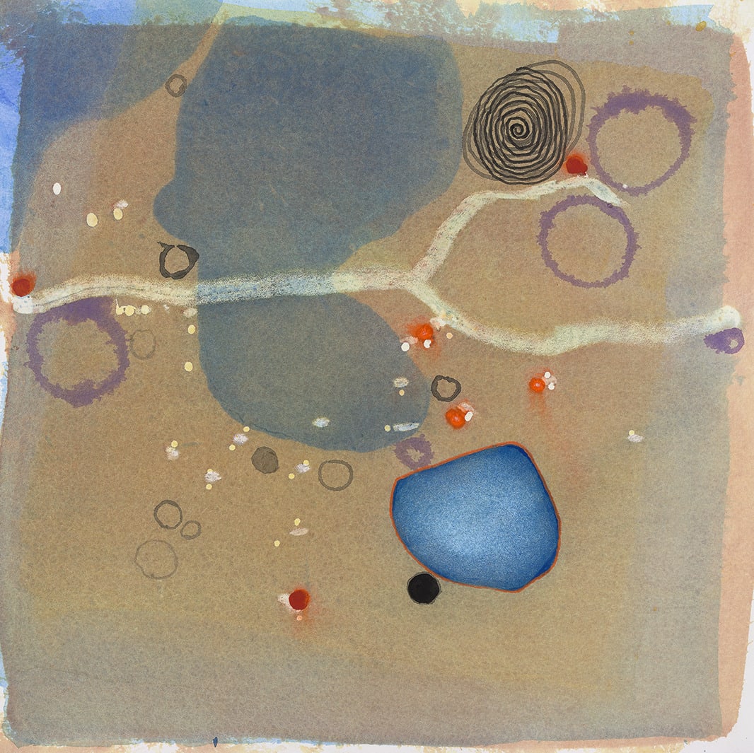 Edward Hutchison, SOIL, MICROBES AND LIFE 6