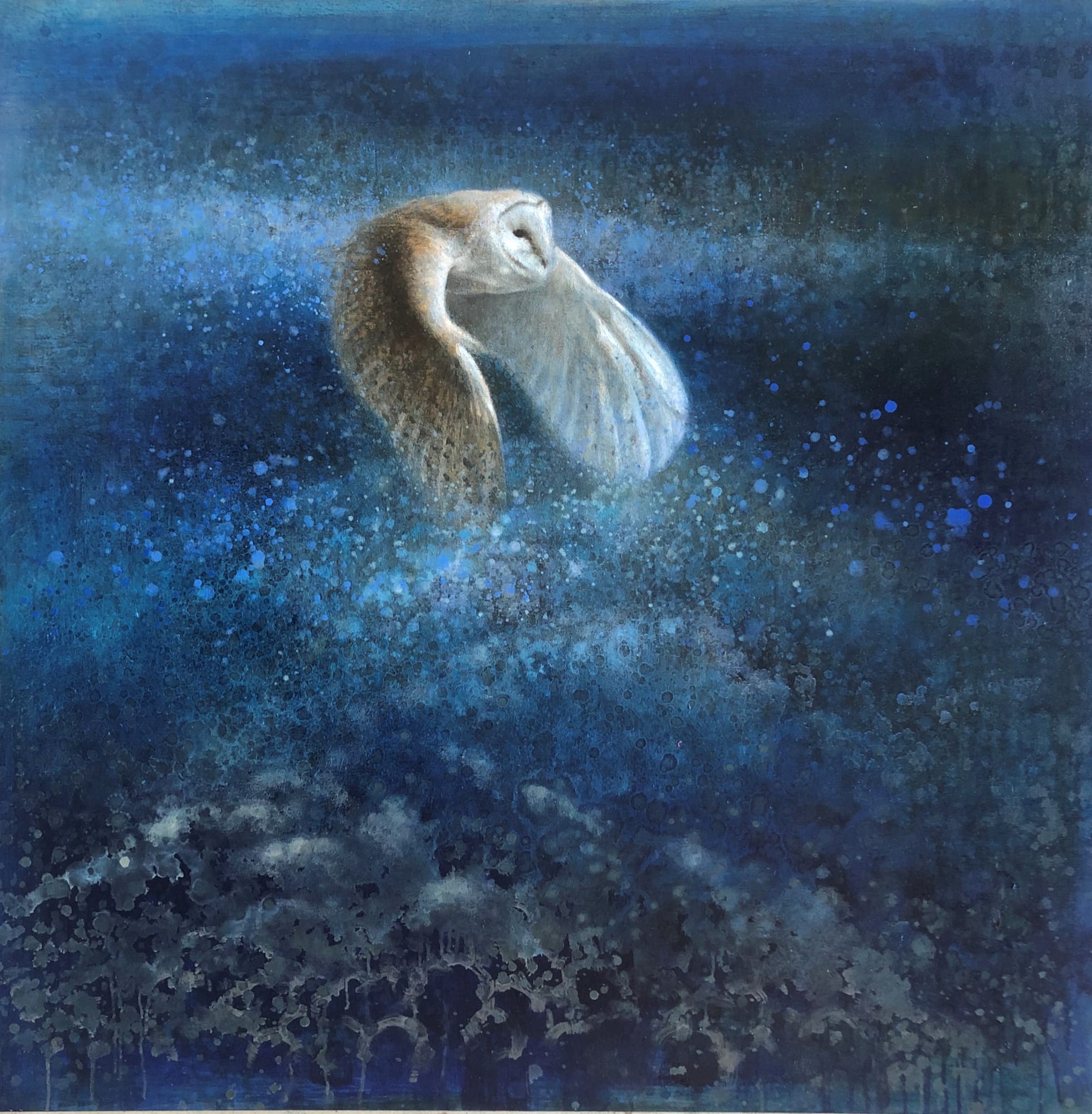 Ewoud de Groot, TWILIGHT BARNOWL
