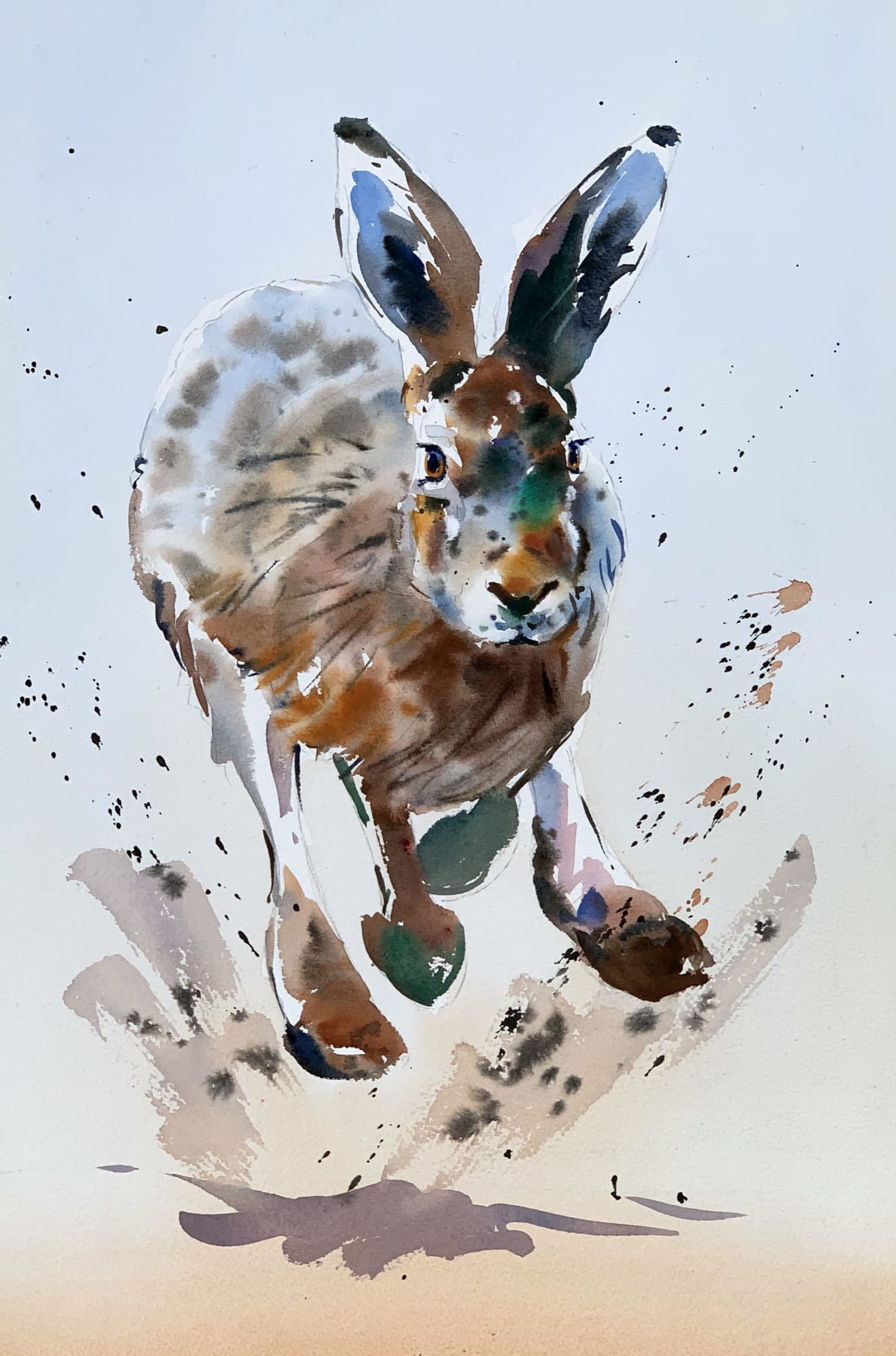 Jake Winkle, HOPPING HARE
