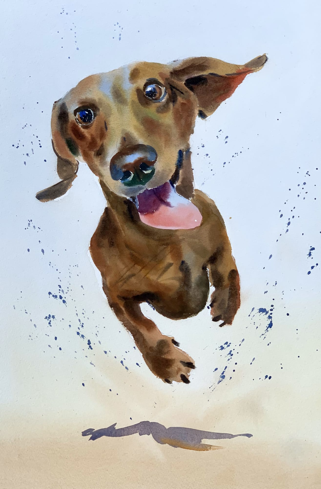 Jake Winkle, FLYING DACHSHUND