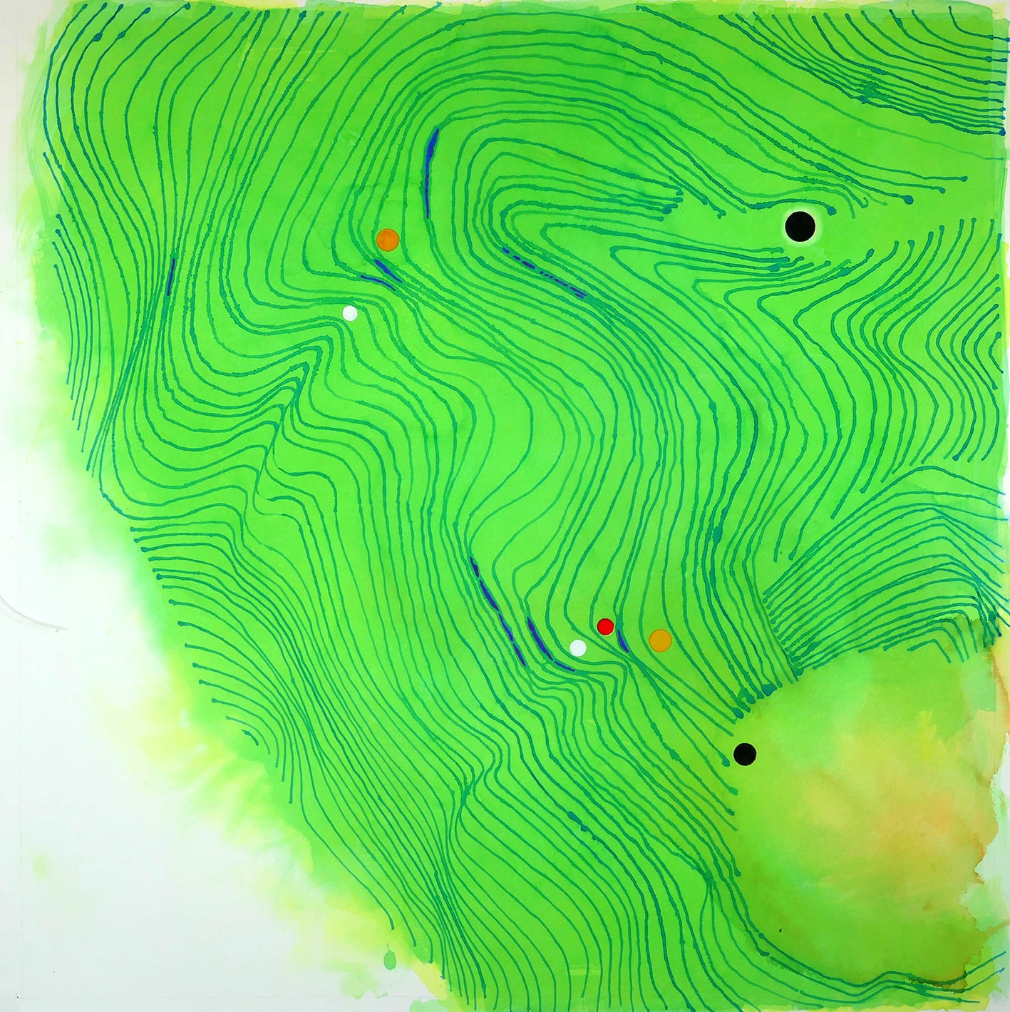 Edward Hutchison, FORCES WITHIN OAKS 10