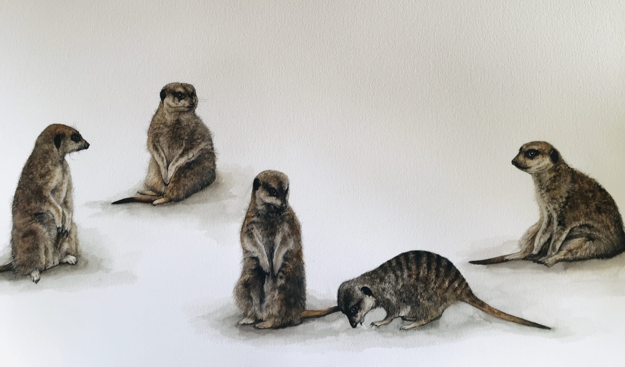 Dominique Salm, OFF DUTY