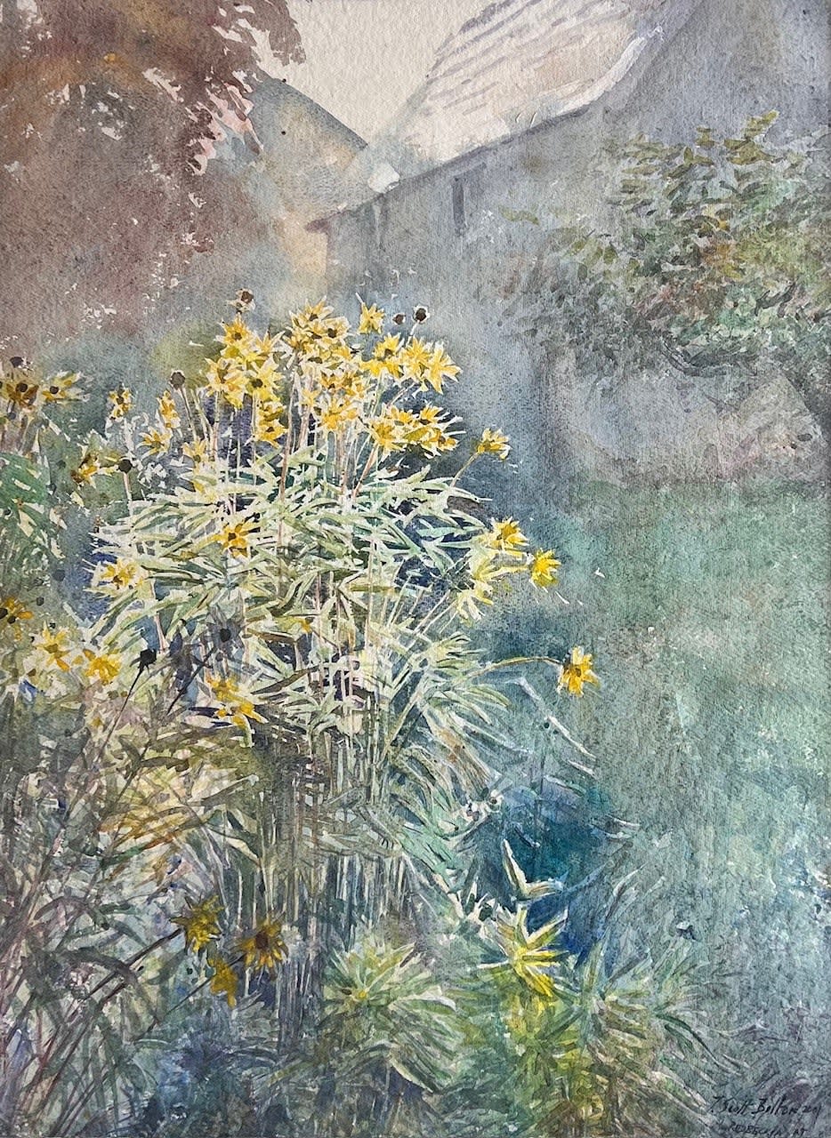 Timothy Scott Bolton, RUDBECKIA AT CRY-SUR-ARMENCON, BURGUNDY