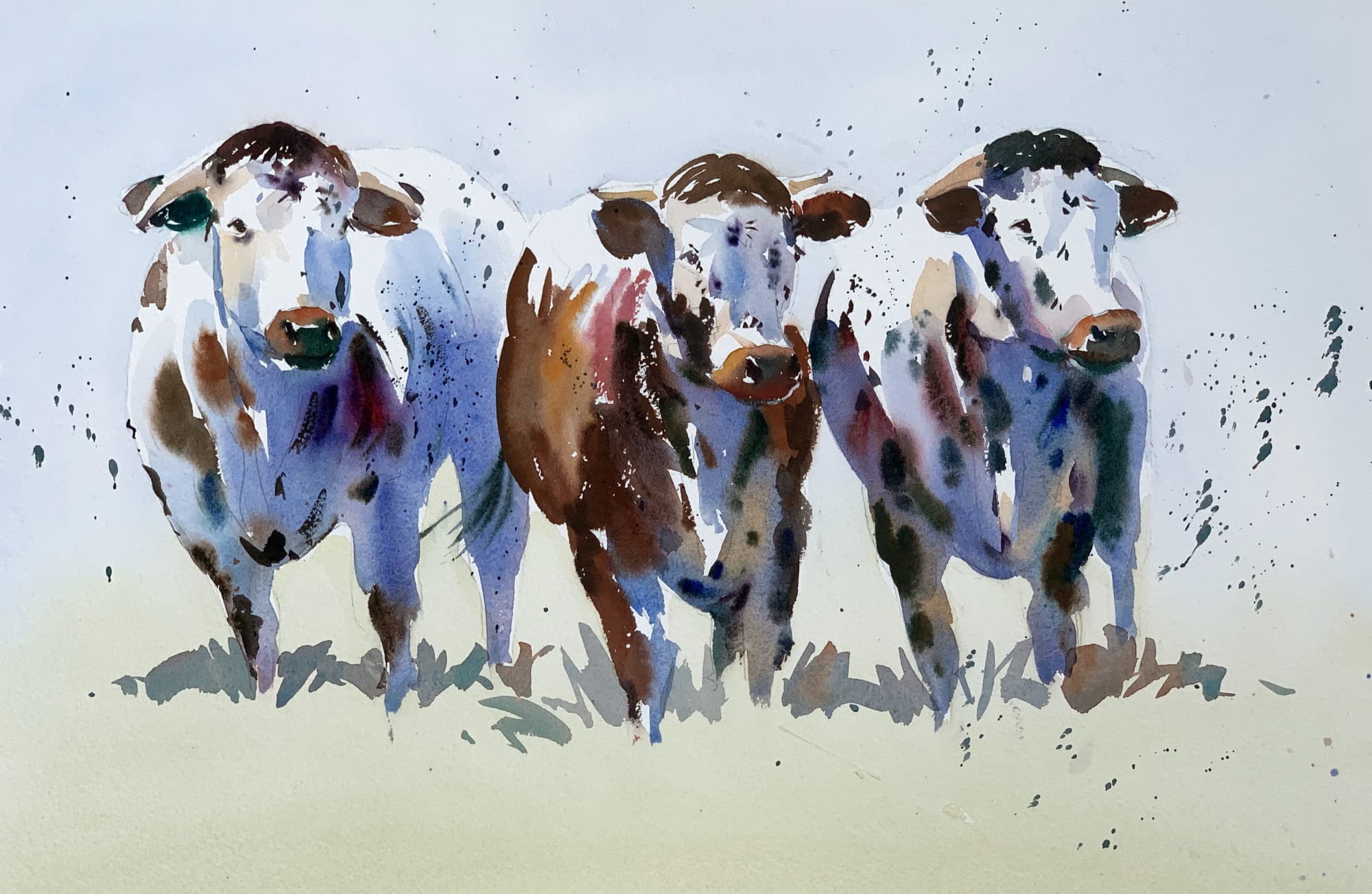Jake Winkle, WE THREE COWS