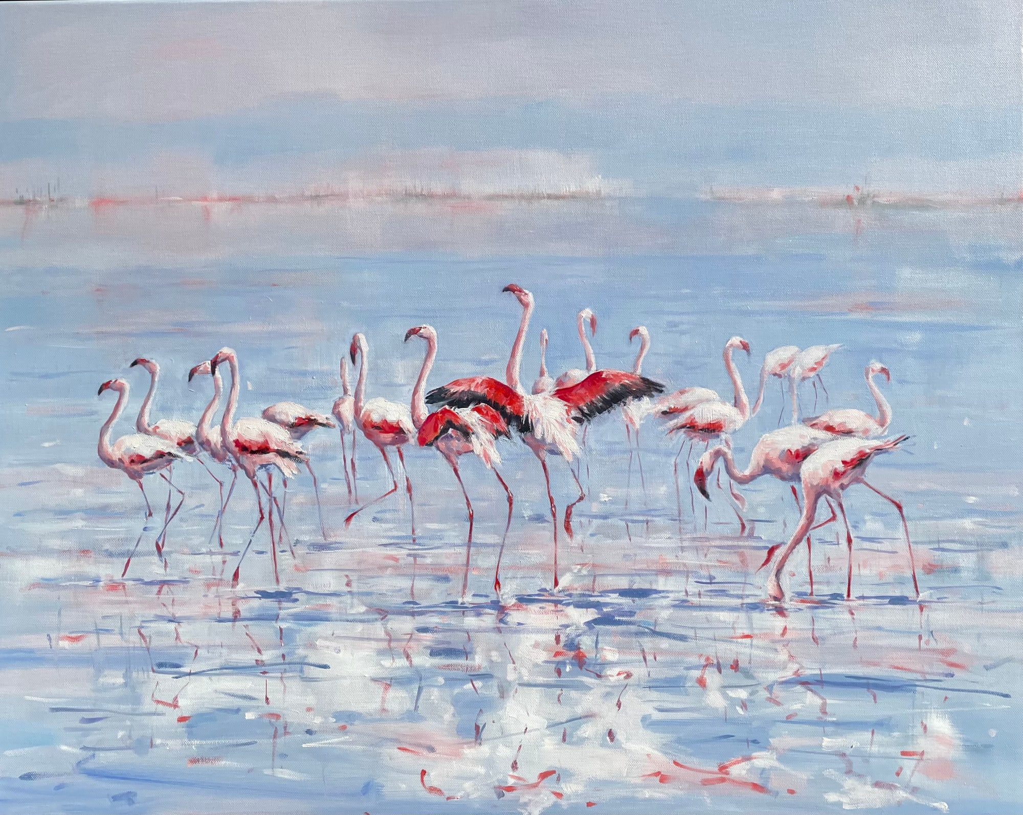 Julia Cassels, LAGOON OF FLAMINGOS
