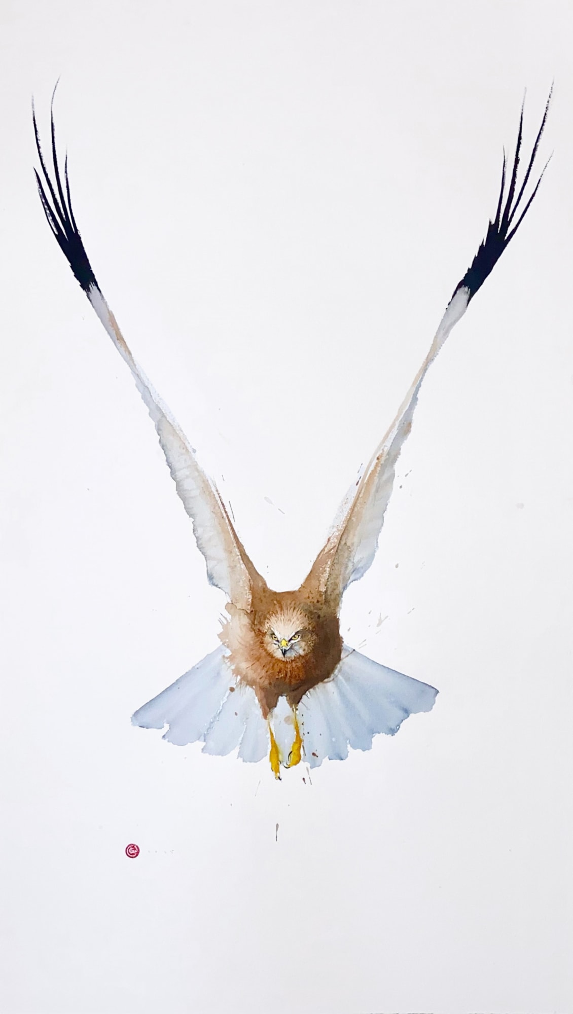 Karl Martens, NORTHERN HARRIER
