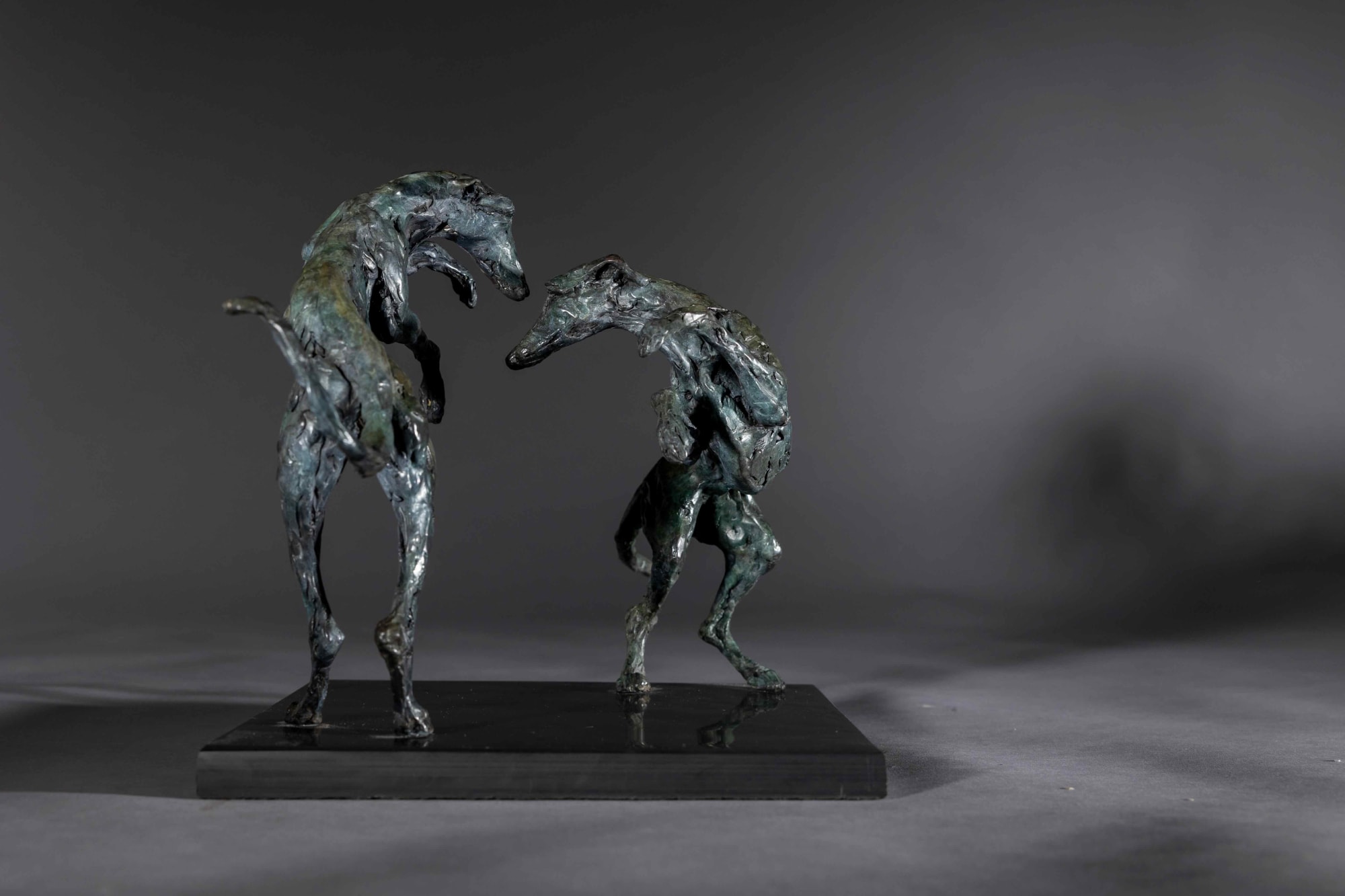 Jane Shaw, THE SPECTACLE