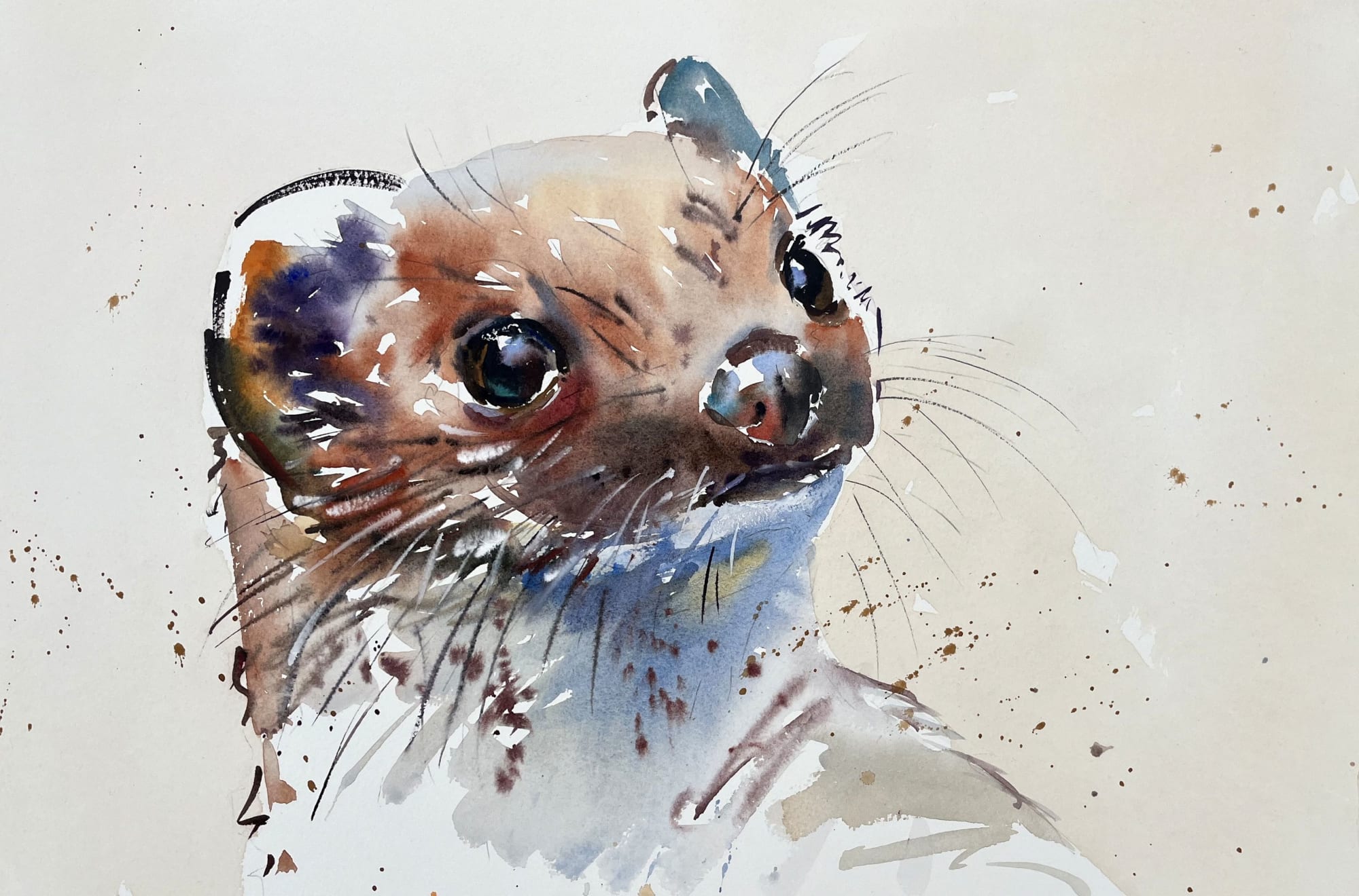 Jake Winkle, STOIC STOAT