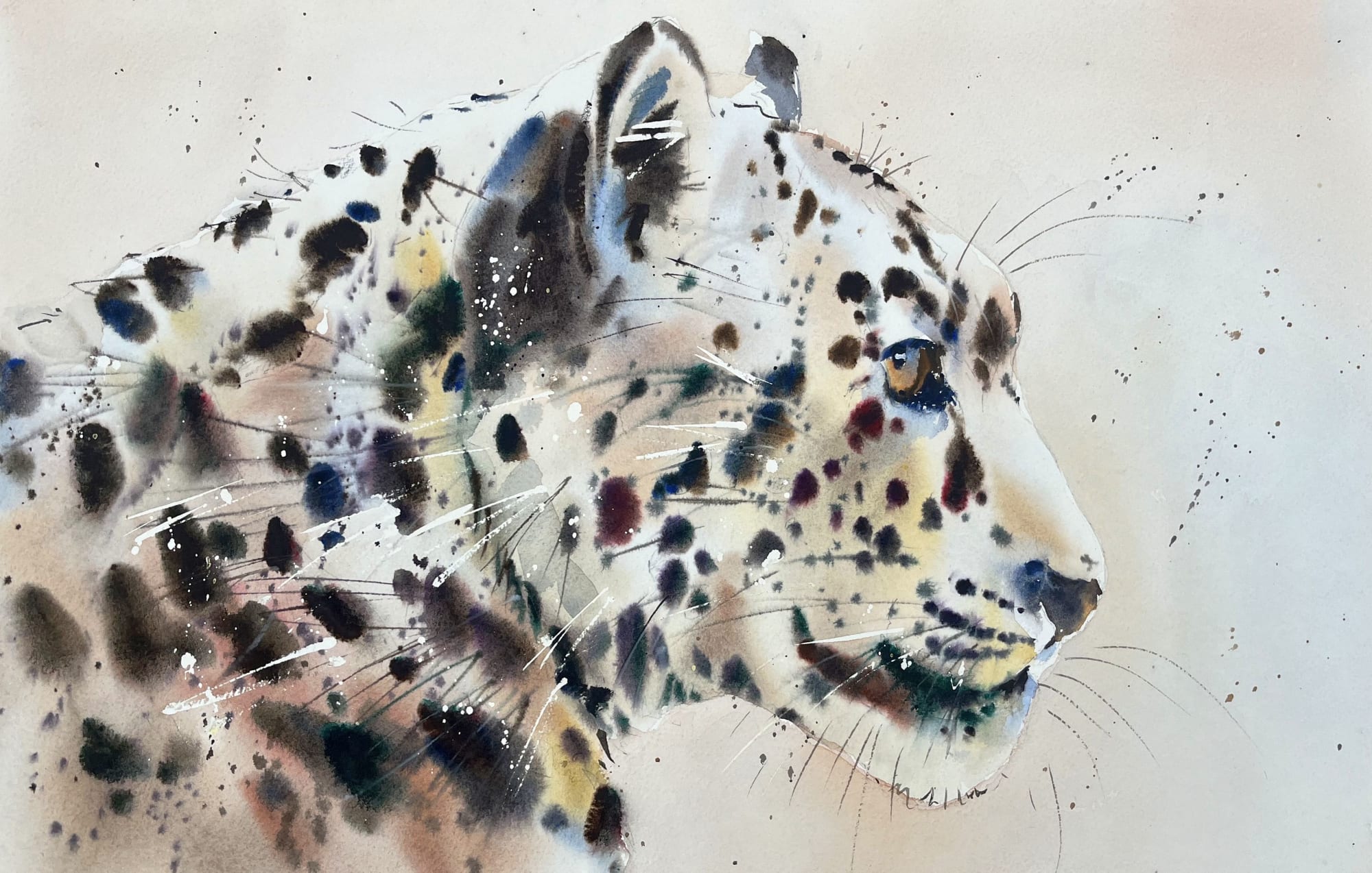 Jake Winkle, SNOW LEOPARD