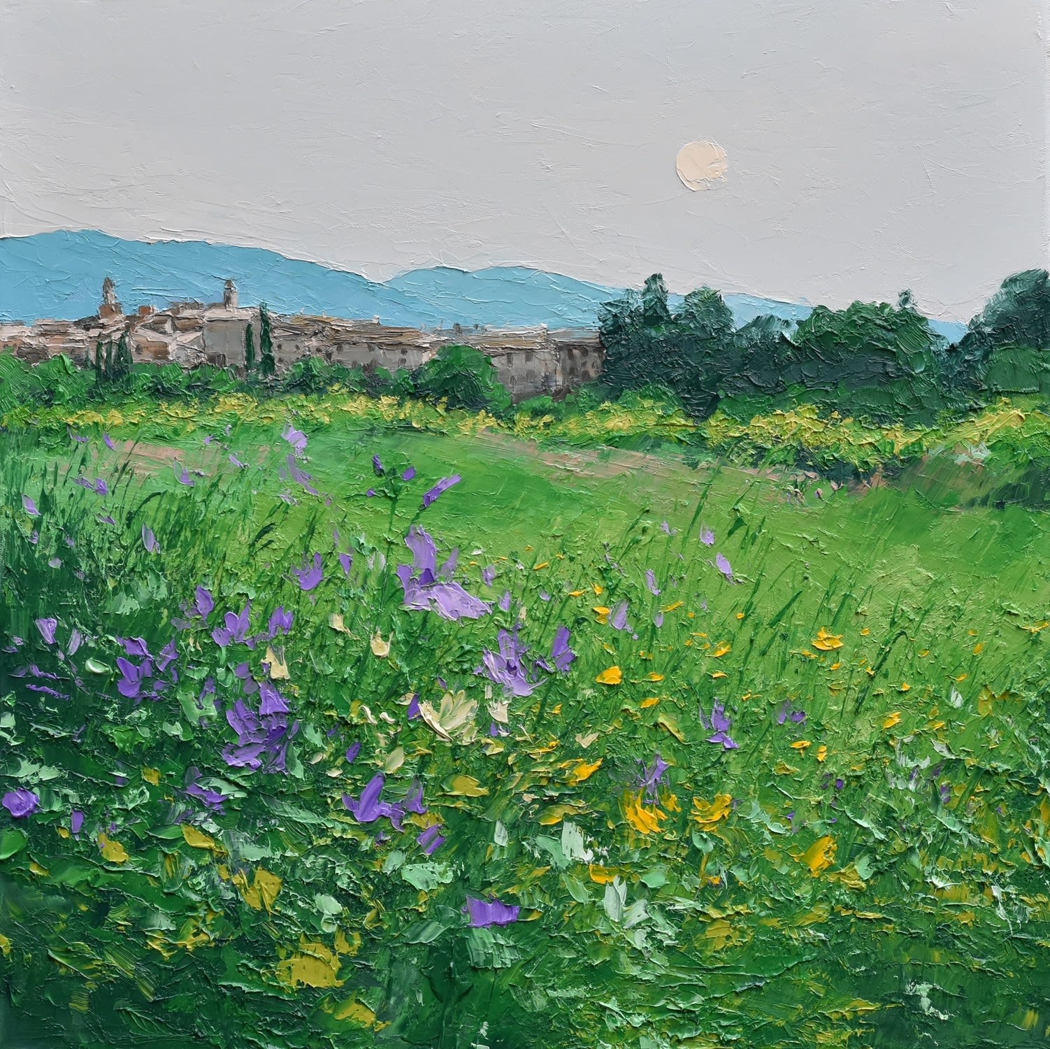 Colin Carruthers, MEADOW FLOWERS, LOURMARIN
