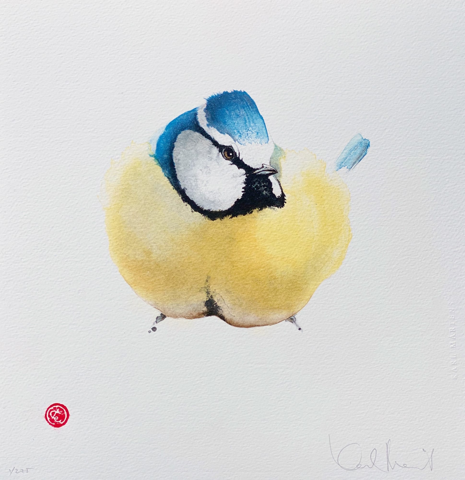 Karl Martens, BLUE TIT