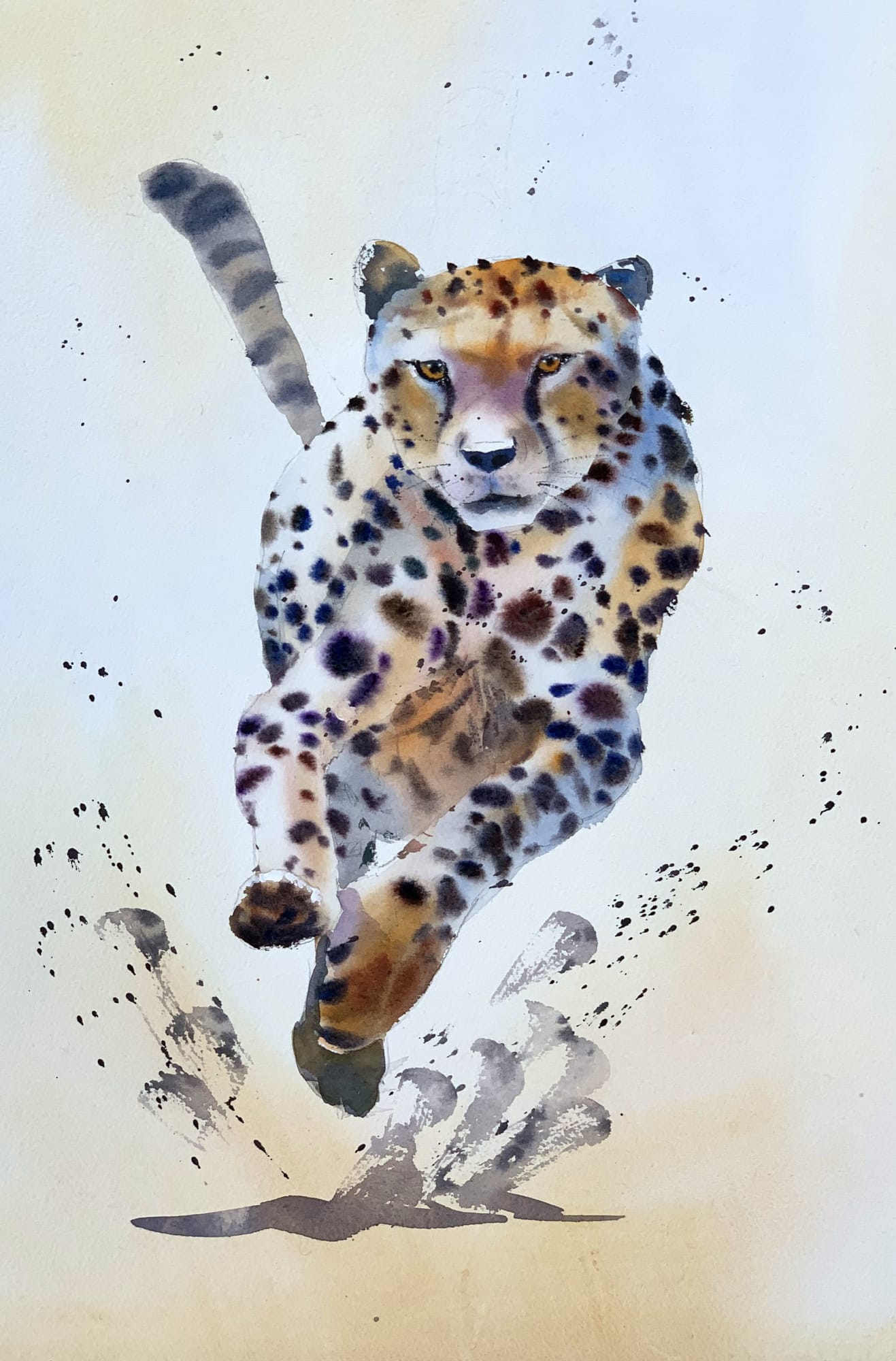 Jake Winkle, CHEETAH CHASE