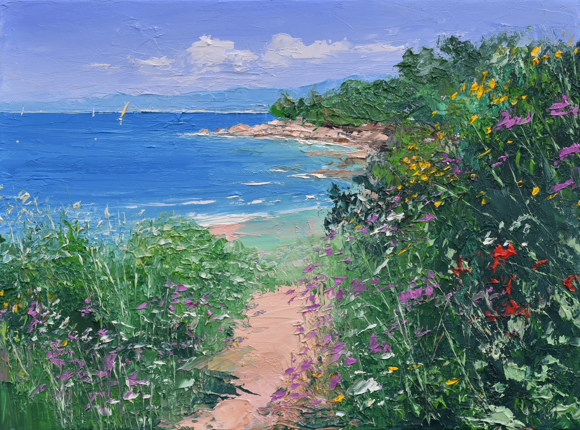 Colin Carruthers, WILDFLOWERS ALONG THE COASTAL PATH