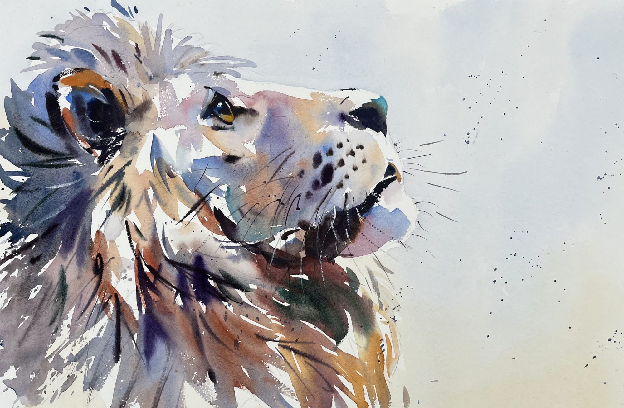 Jake Winkle, THE MANE MAN