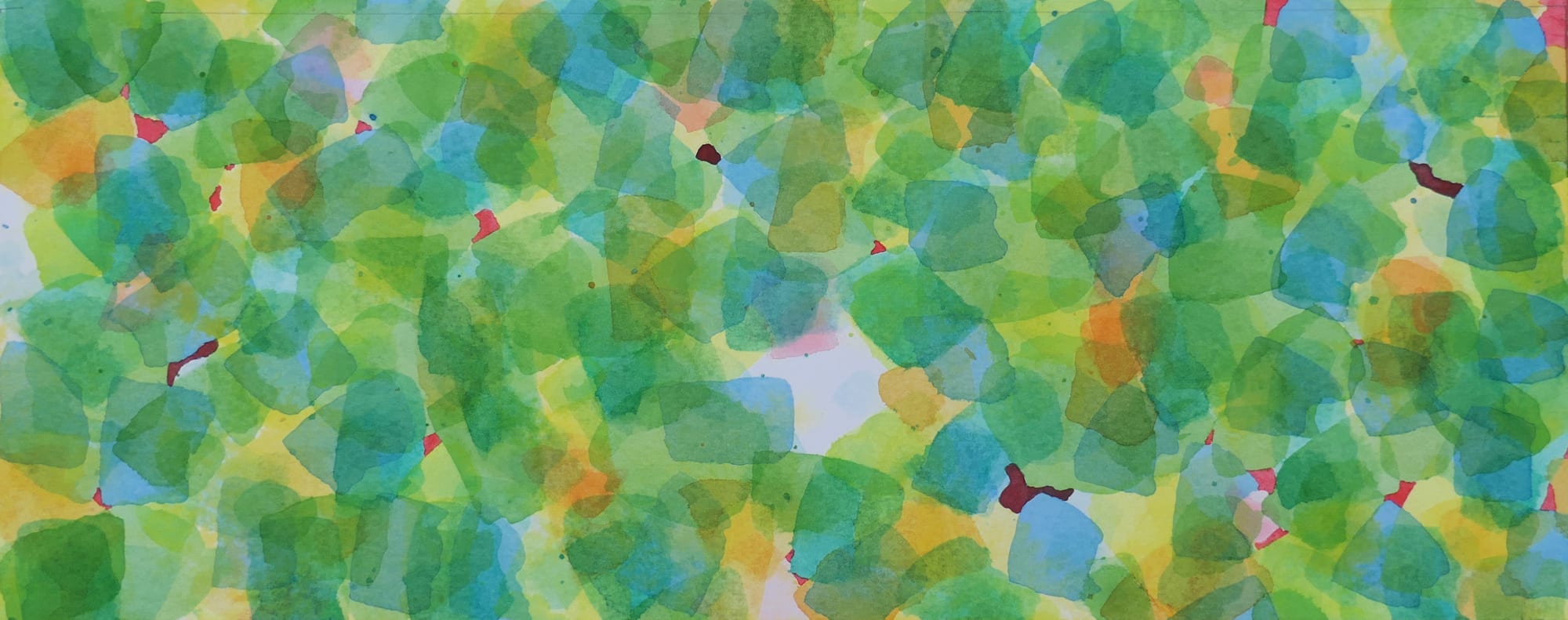 Edward Hutchison, LIGHT IN TREES 7