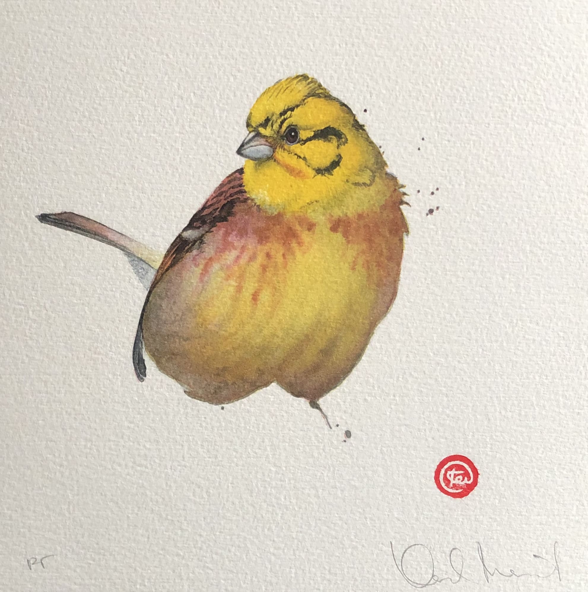 Karl Martens, YELLOWHAMMER