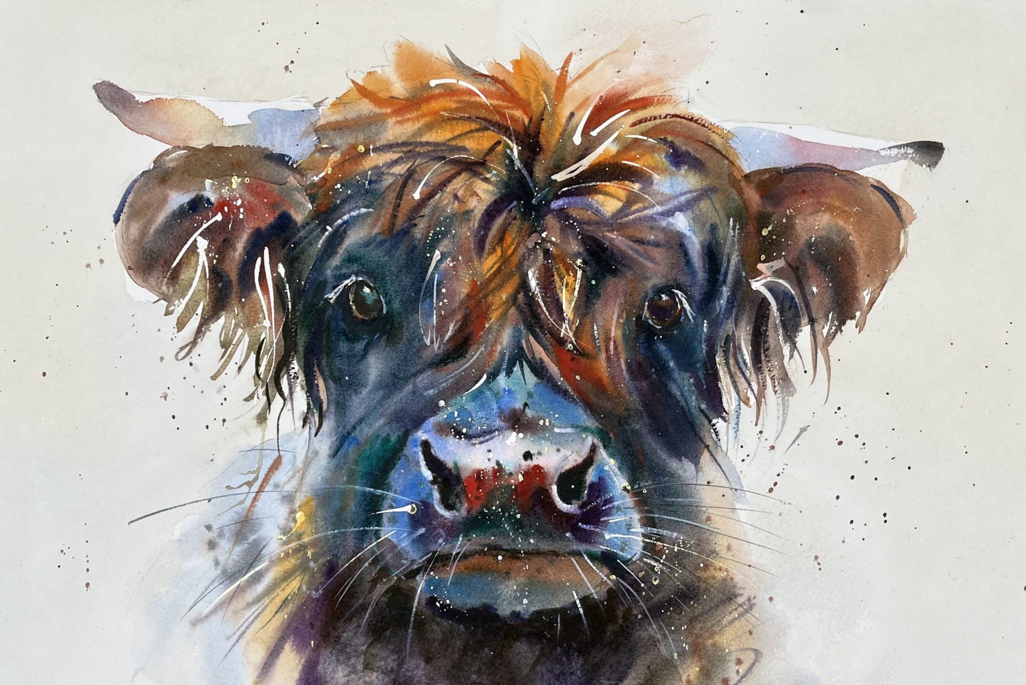 Jake Winkle, COOL HIGHLANDER