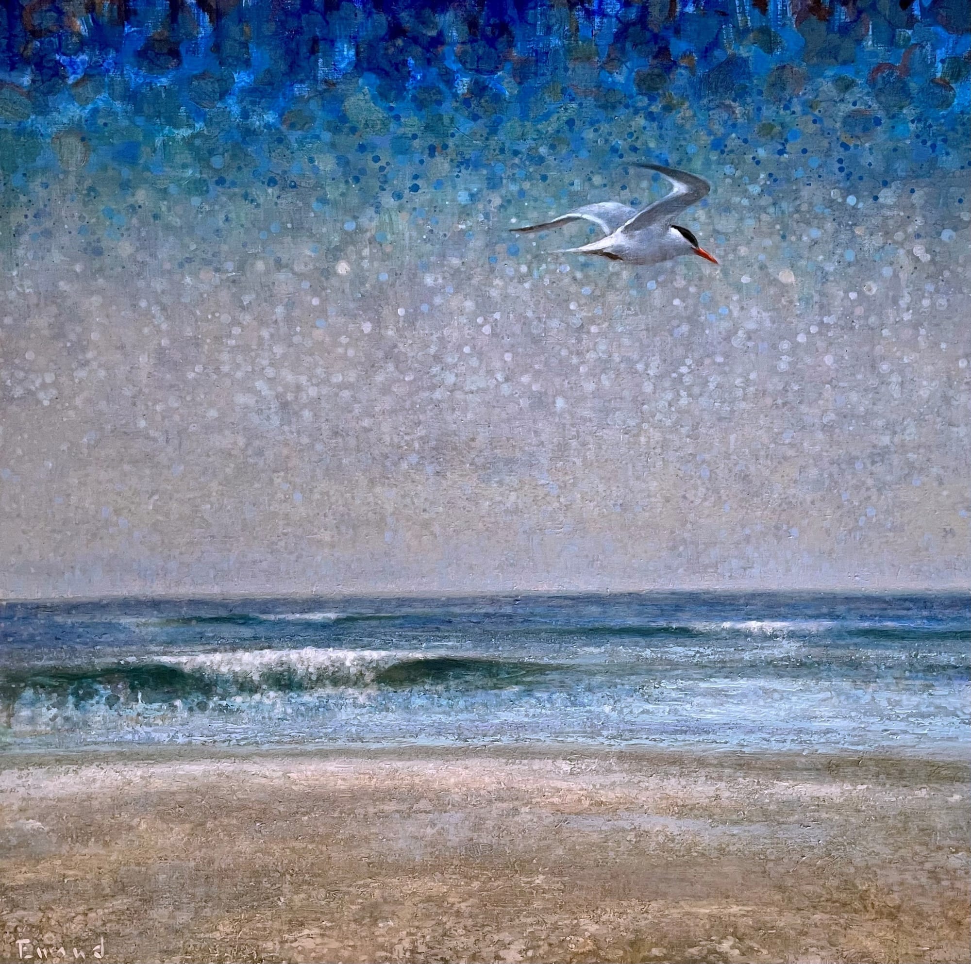 Ewoud de Groot, LITTLE TERN IN FLIGHT