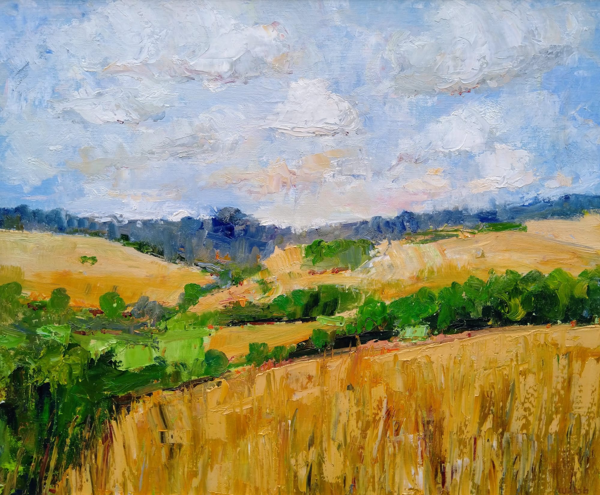 David Walsh, WYLYE VALLEY, HIGH SUMMER