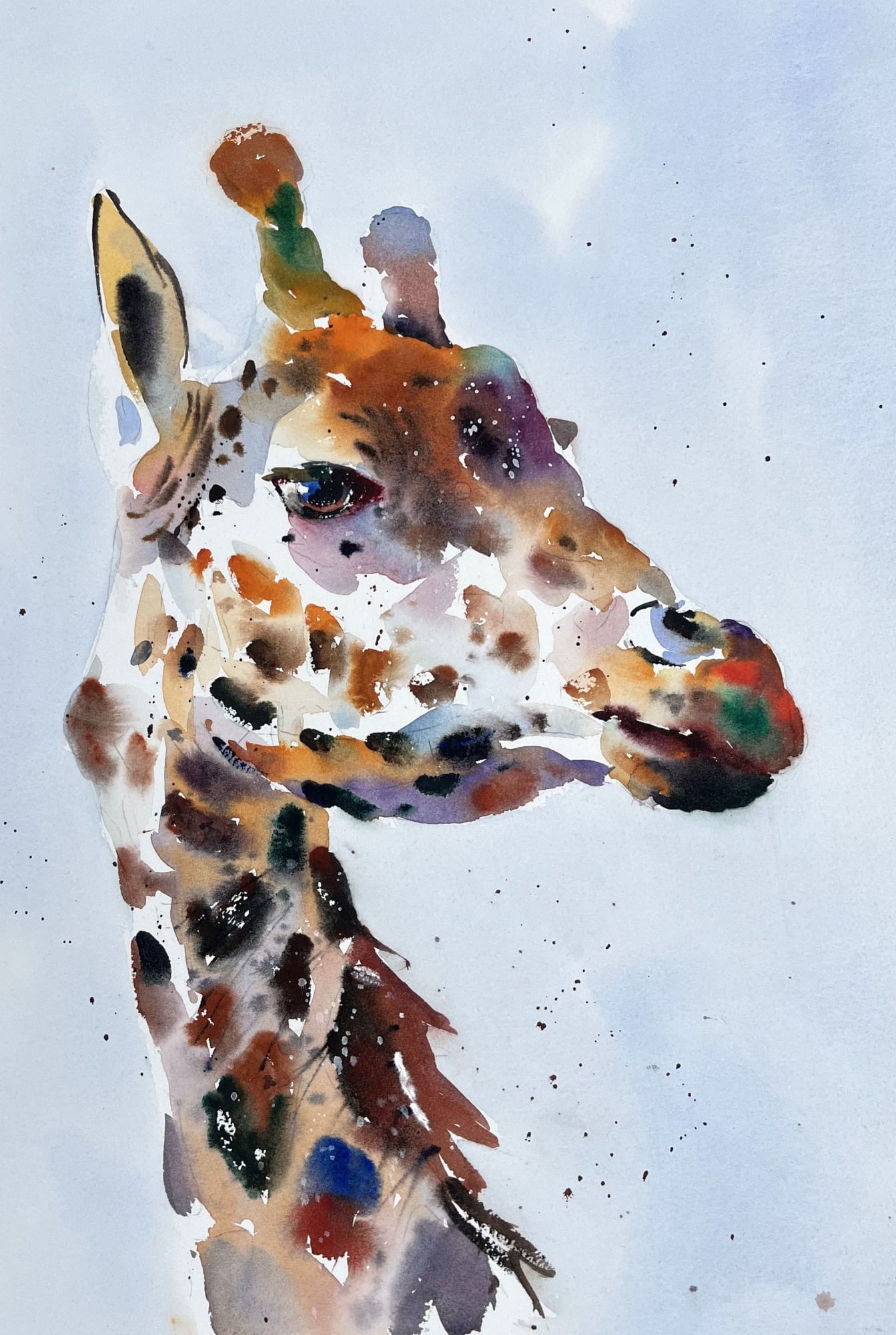 Jake Winkle, REGAL GIRAFFE