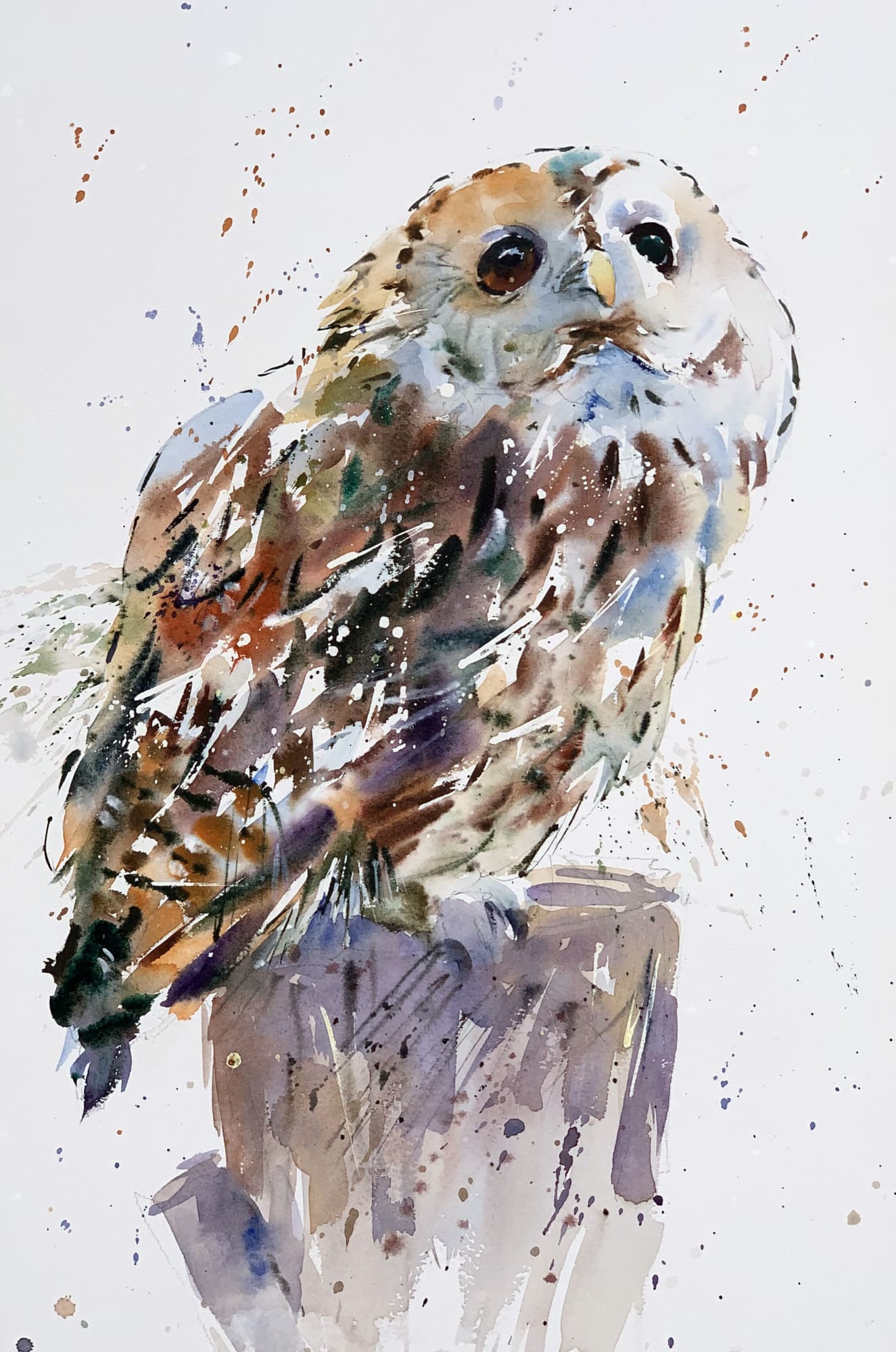 Jake Winkle, TAWNY OWL