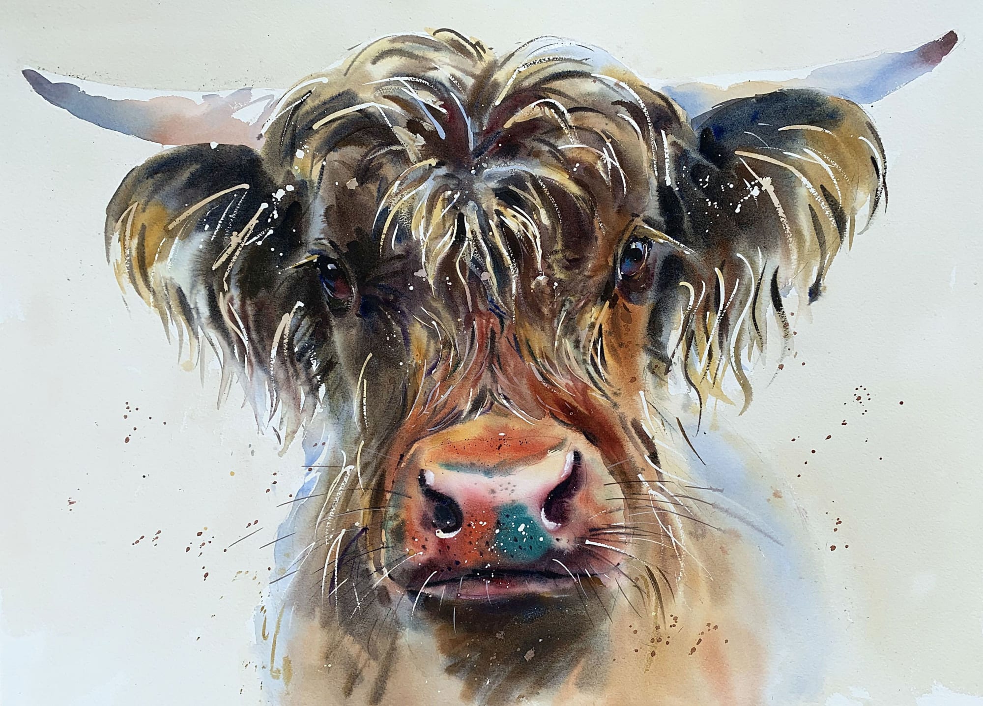 Jake Winkle, YOUNG HIGHLANDER