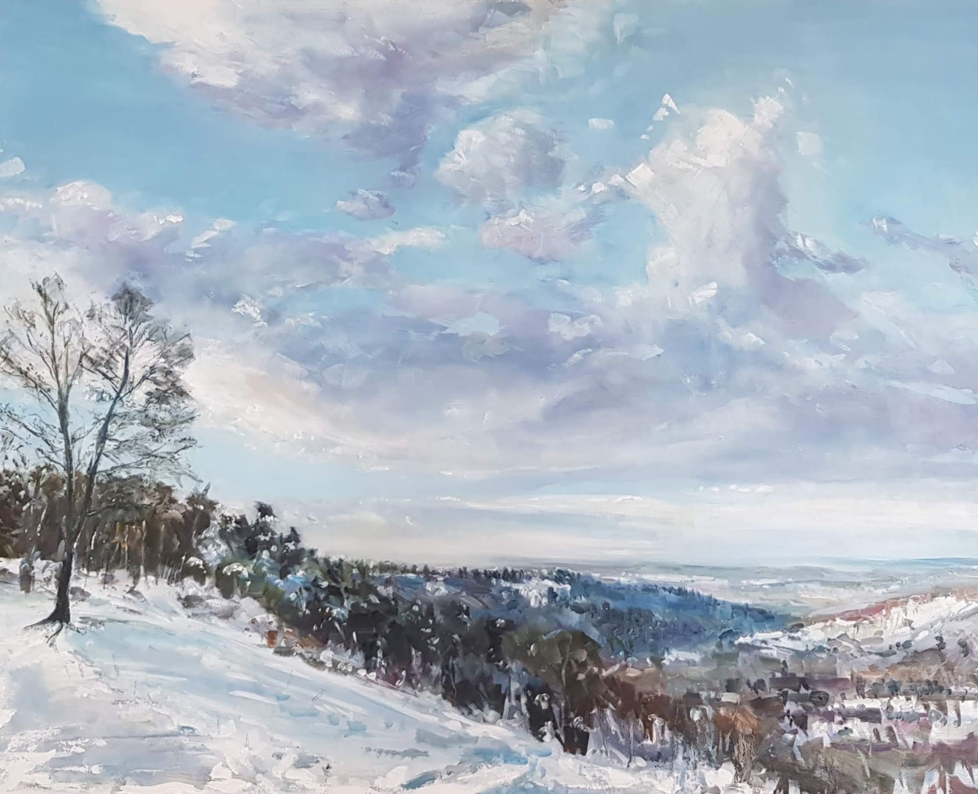 Stephen Kinder, DEVIL'S PUNCHBOWL IN SNOW