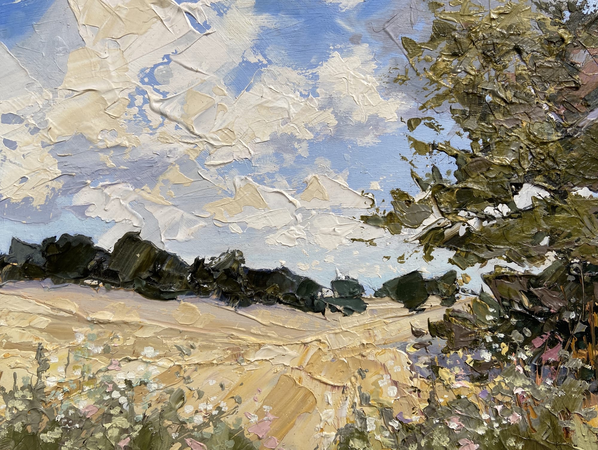 Paul Treasure, WHEAT