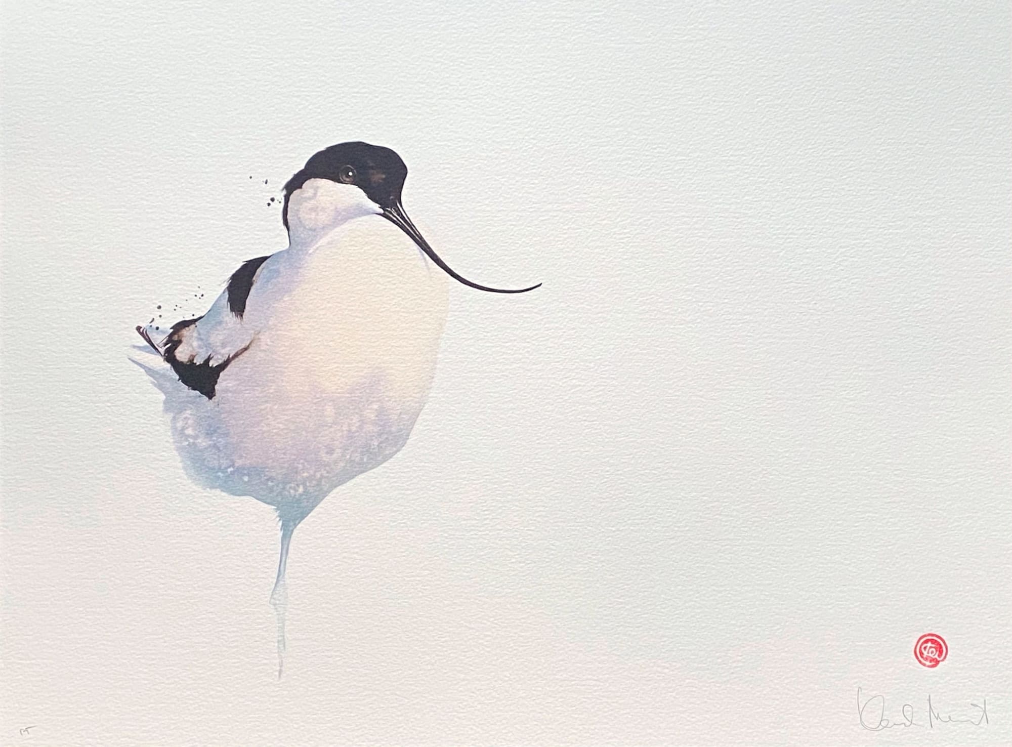 Karl Martens, AVOCET