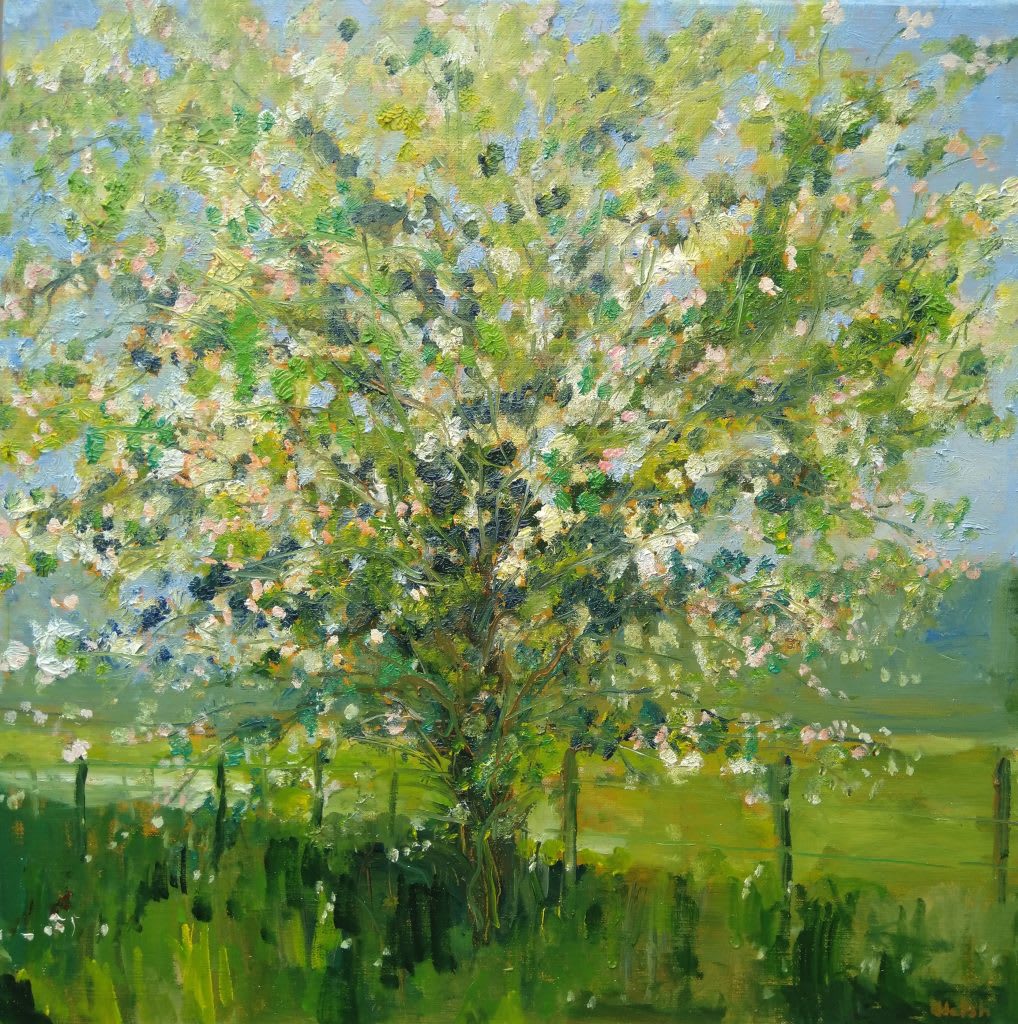 David Walsh, CASCADING MAY BLOSSOM