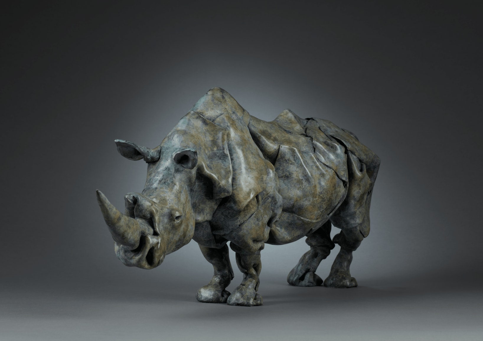 Fred Gordon, SOUTHERN WHITE RHINO