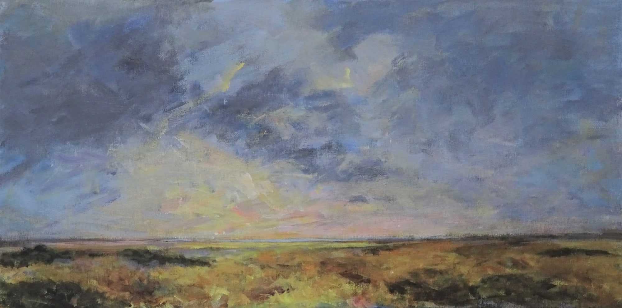 Elisa Lafuente, DAWN