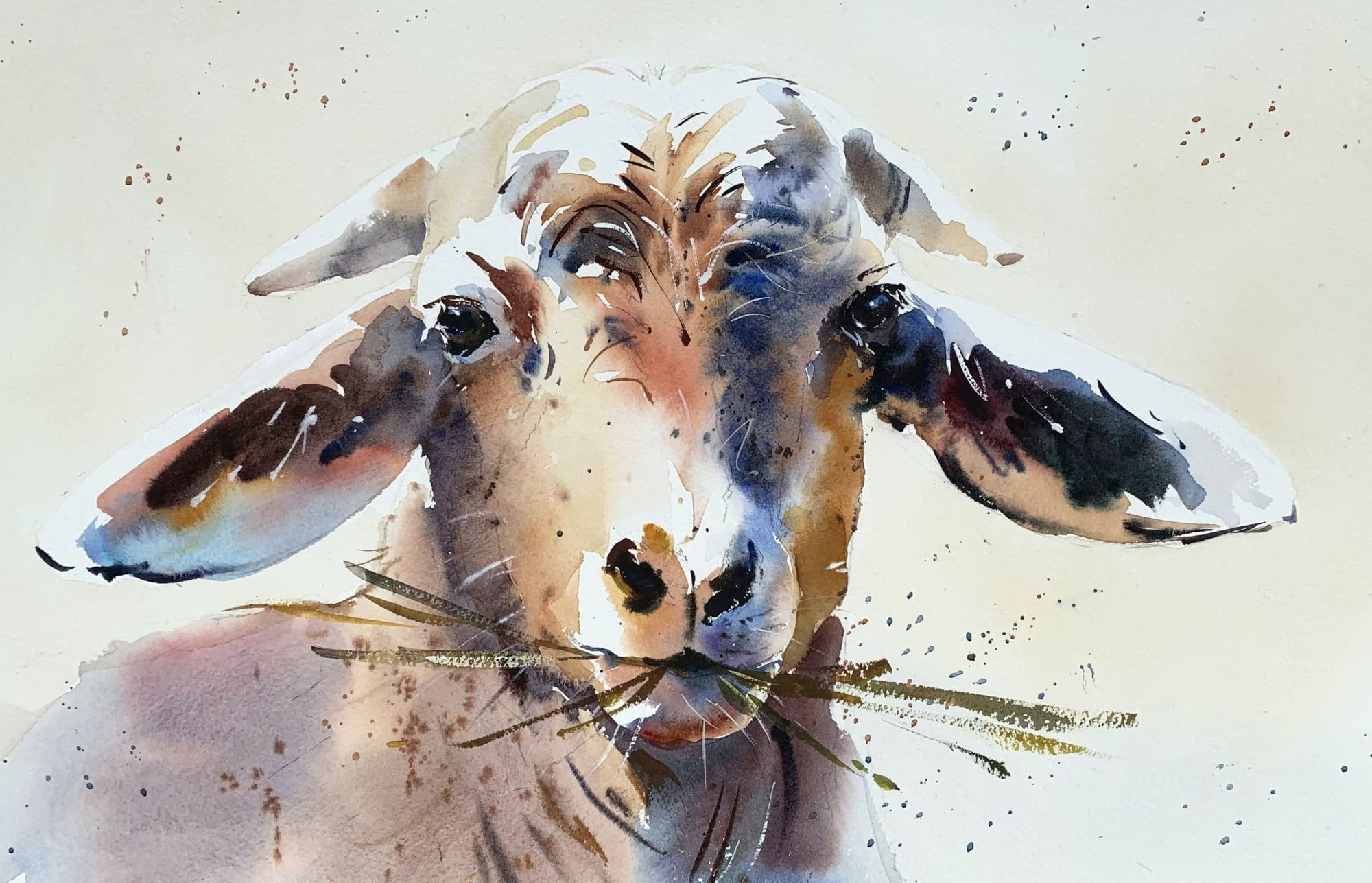 Jake Winkle, CHEWING GOAT