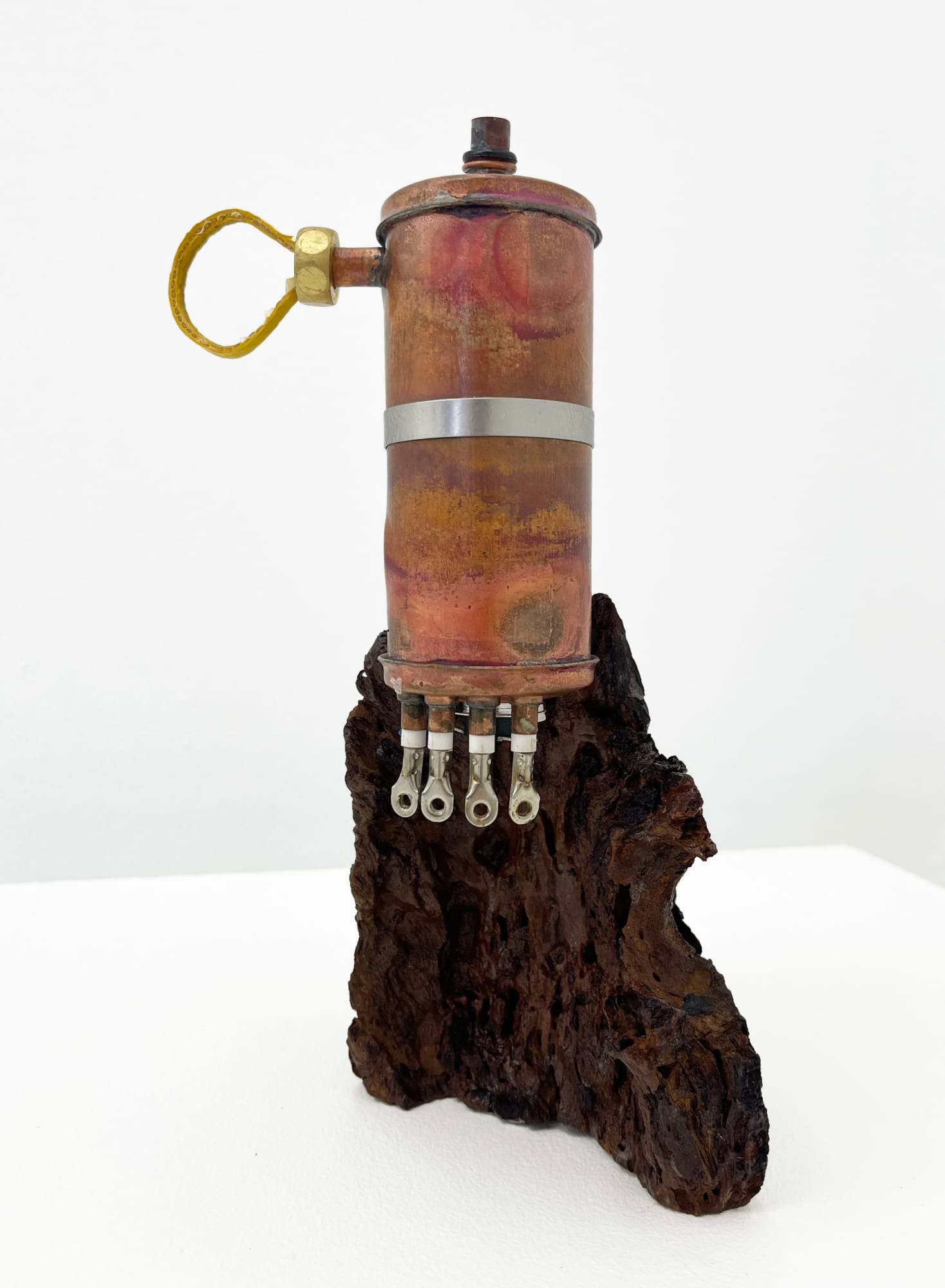 Maisarah Kamal, Bloom II, 2023