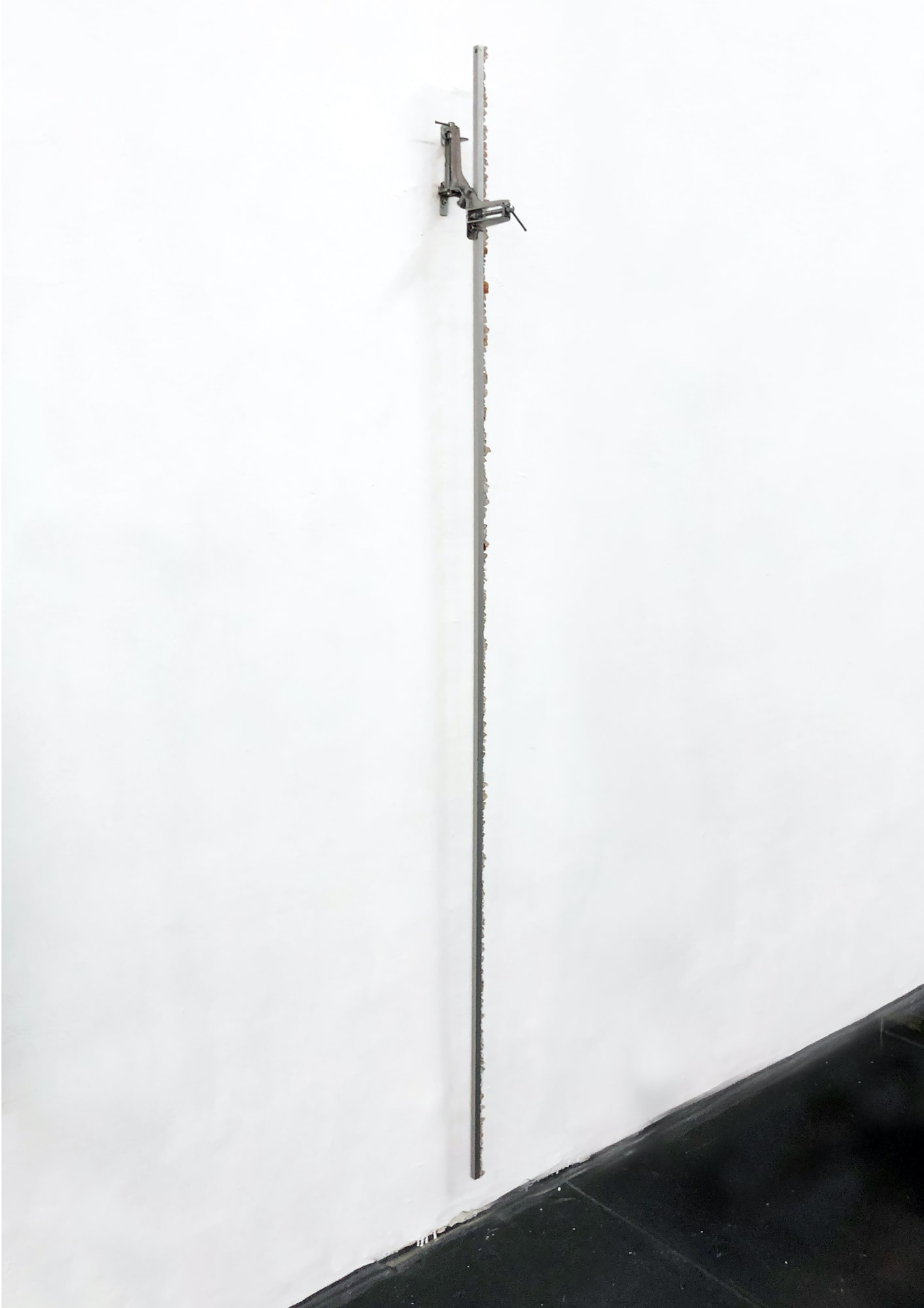 Filippo Sciascia, Untitled, 2020