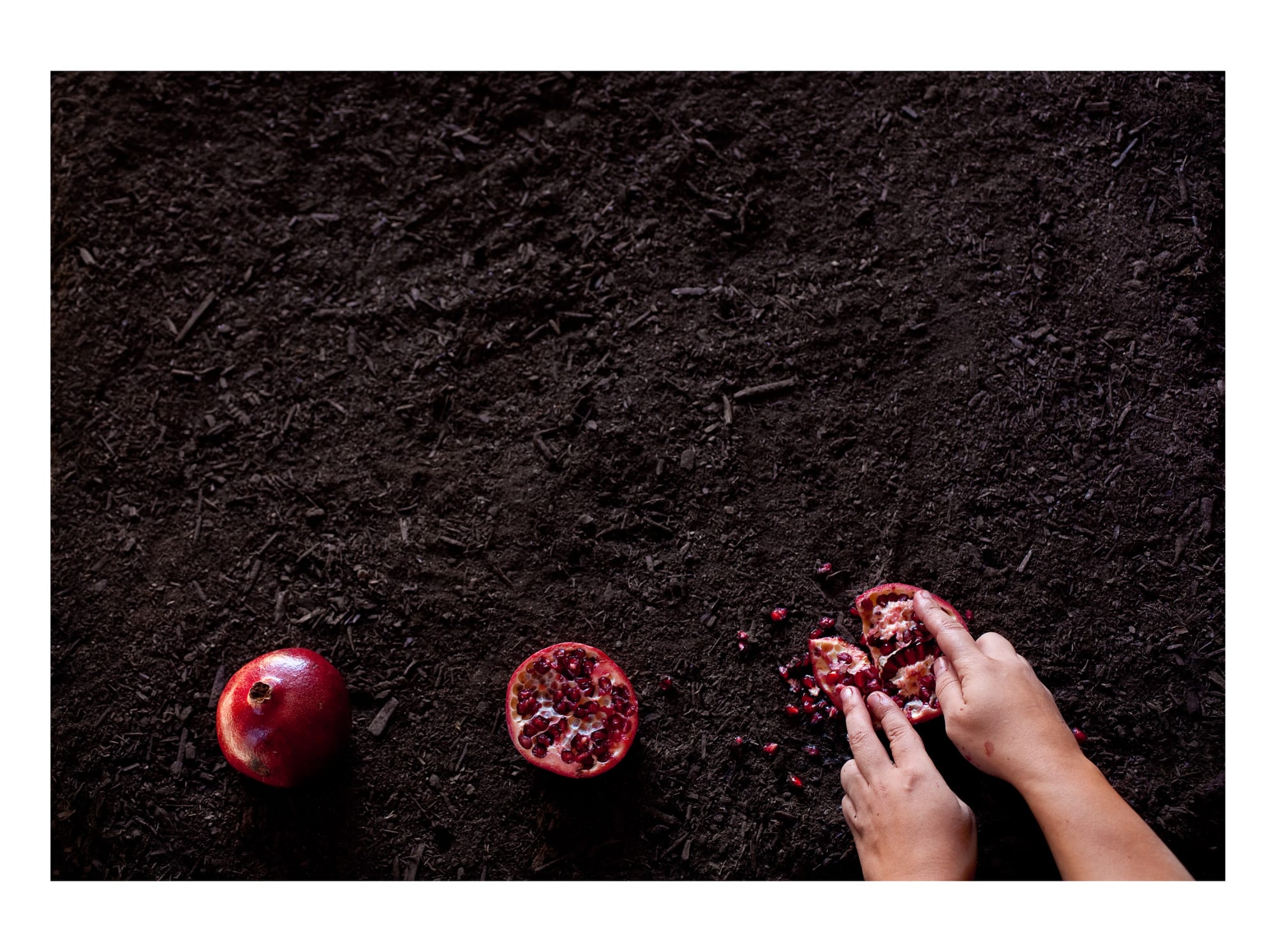 Sama Alshaibi, Sketch 14, 2010